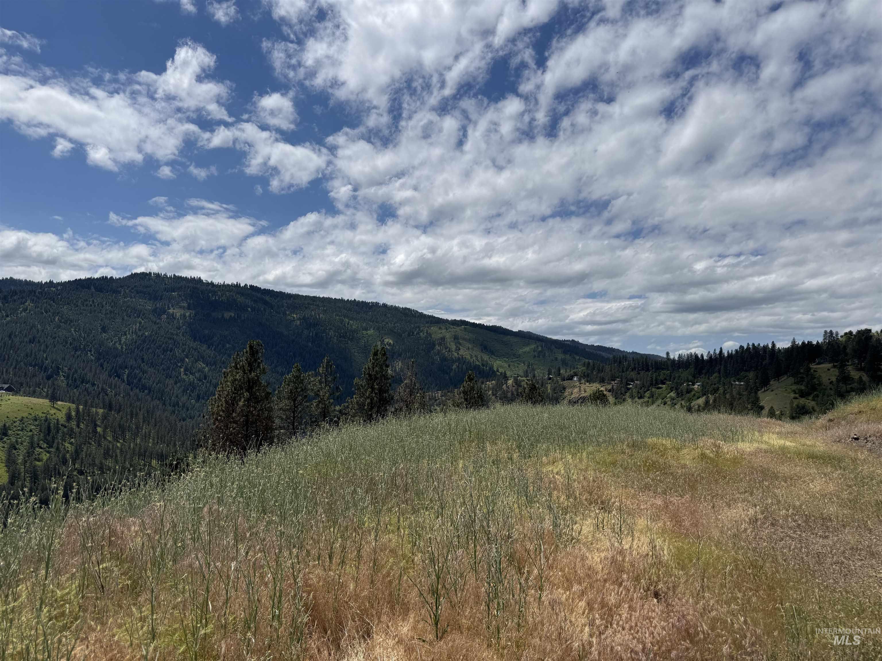 618 Old Peck Grade, Lenore, Idaho 83541, Land For Sale, Price $250,000,MLS 98989245