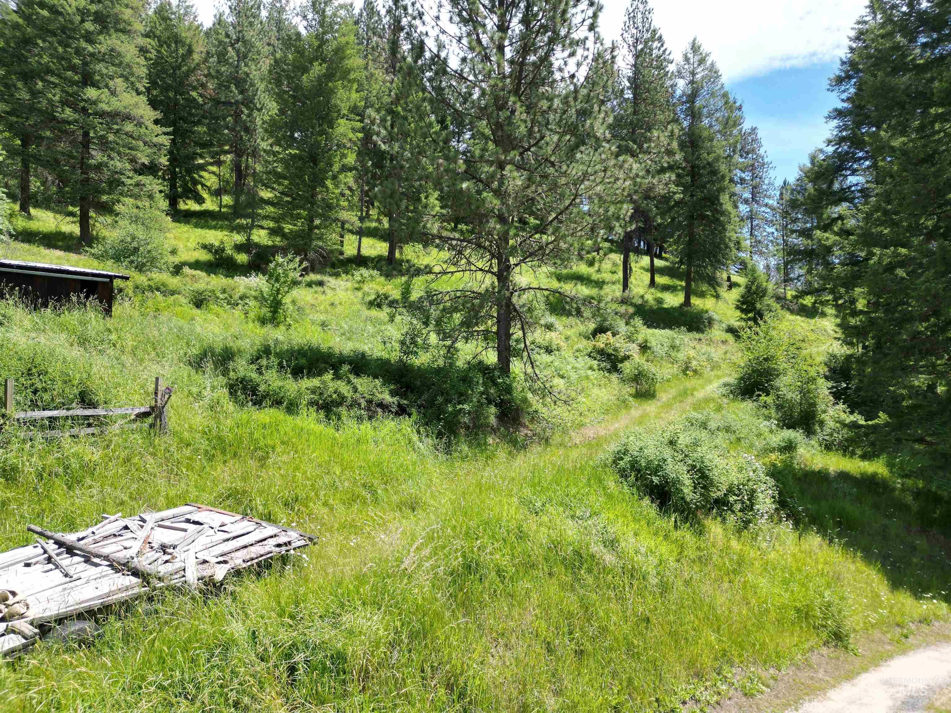 87 & 181 Alpine Drive, Orofino, Idaho 83544, Land For Sale, Price $175,000,MLS 98989249