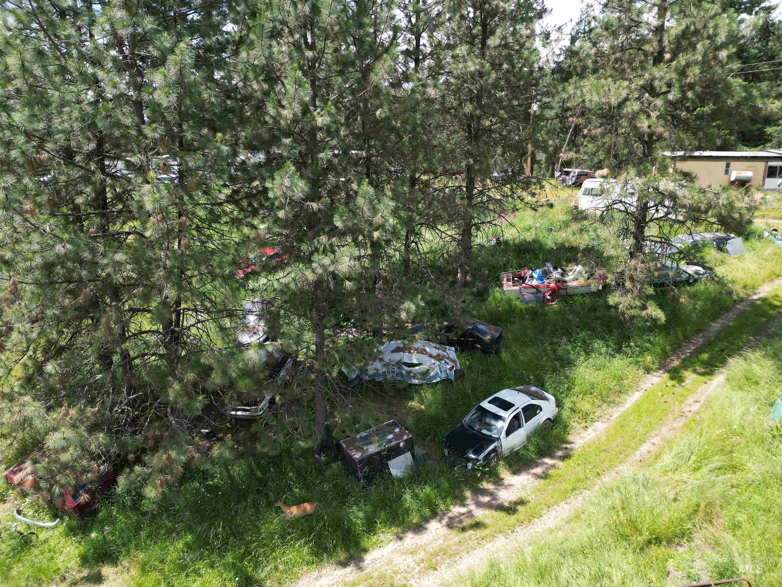 87 & 181 Alpine Drive, Orofino, Idaho 83544, Land For Sale, Price $175,000,MLS 98989249