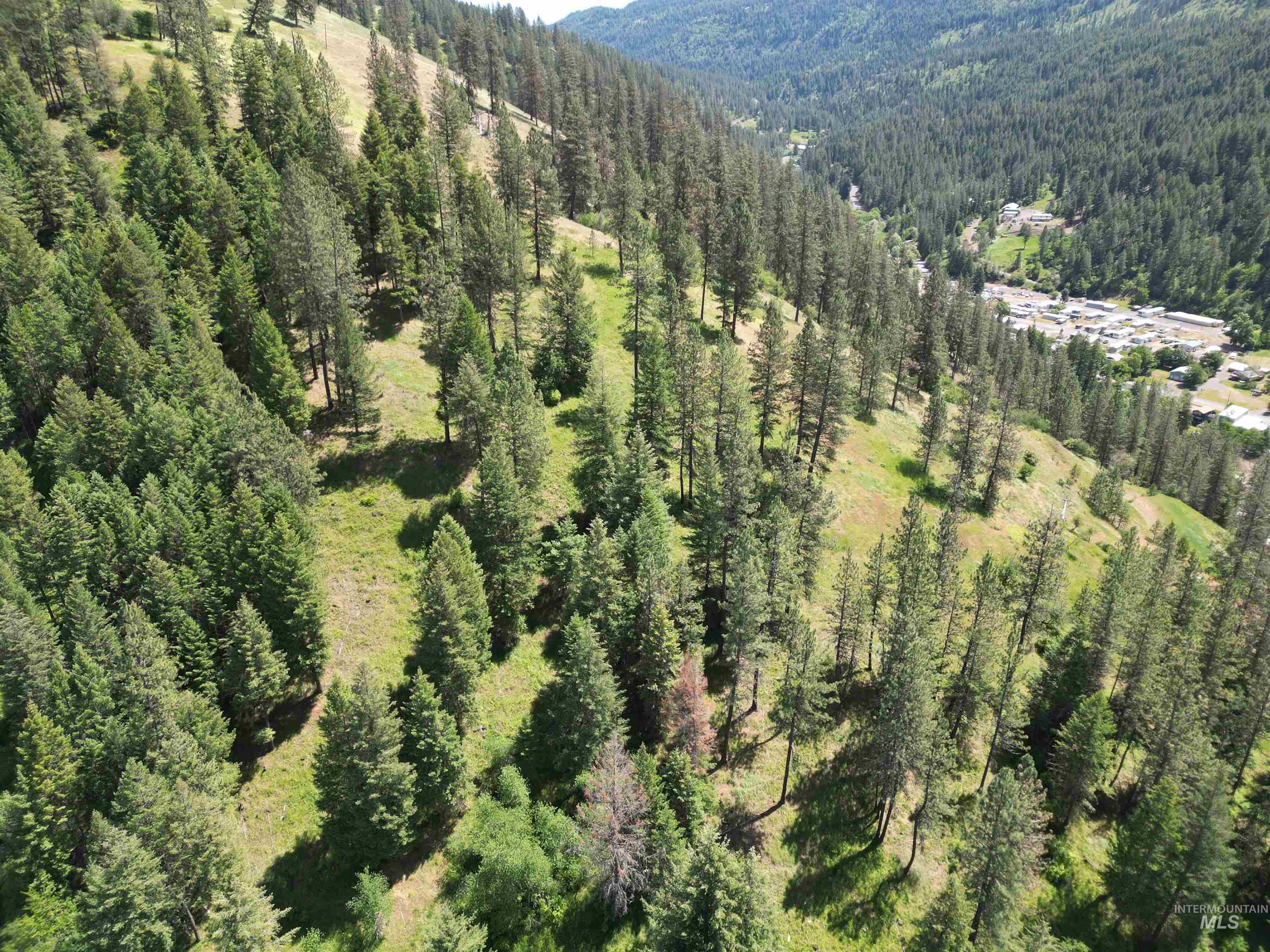 87 & 181 Alpine Drive, Orofino, Idaho 83544, Land For Sale, Price $175,000,MLS 98989249