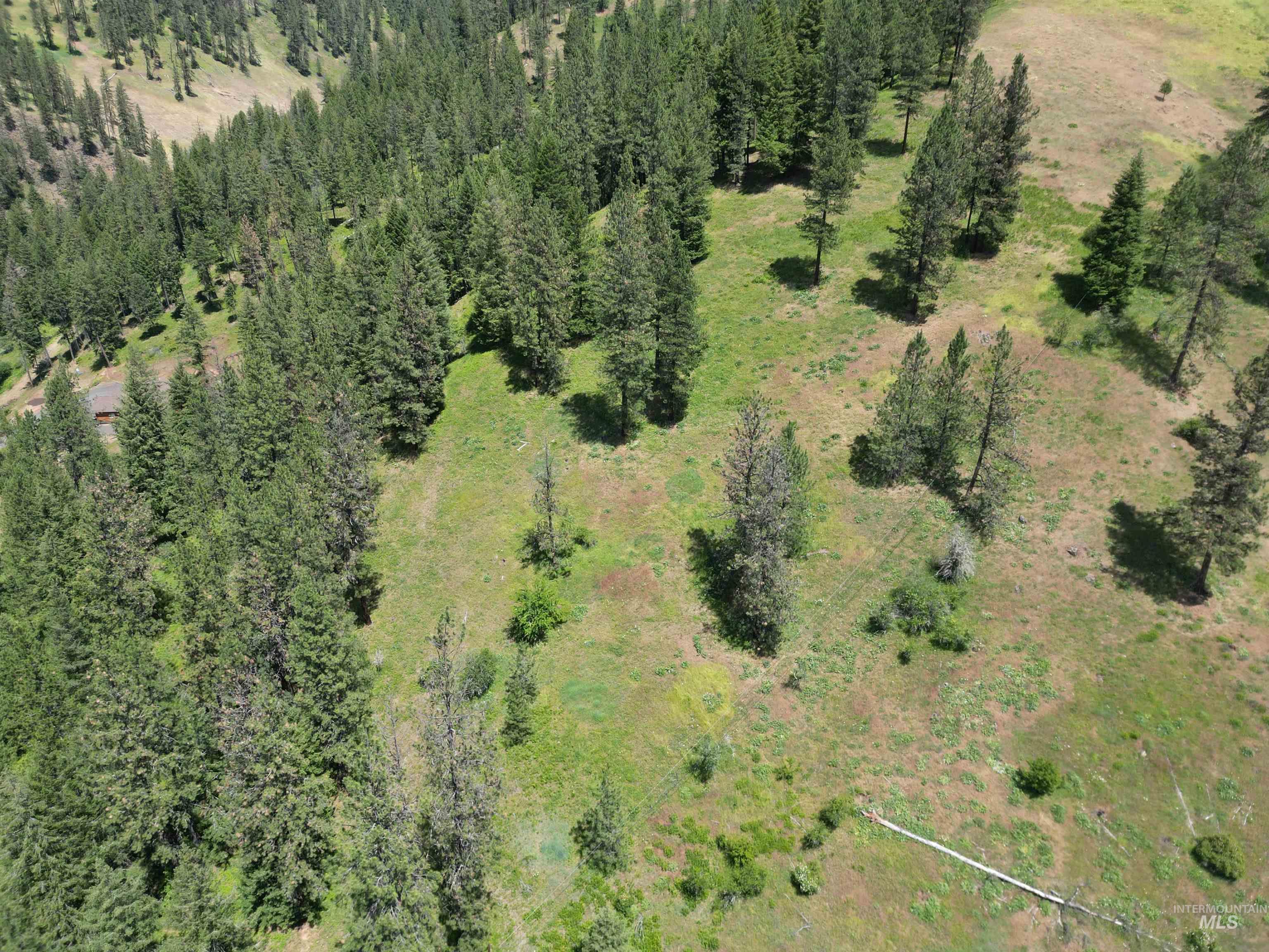 87 & 181 Alpine Drive, Orofino, Idaho 83544, Land For Sale, Price $175,000,MLS 98989249
