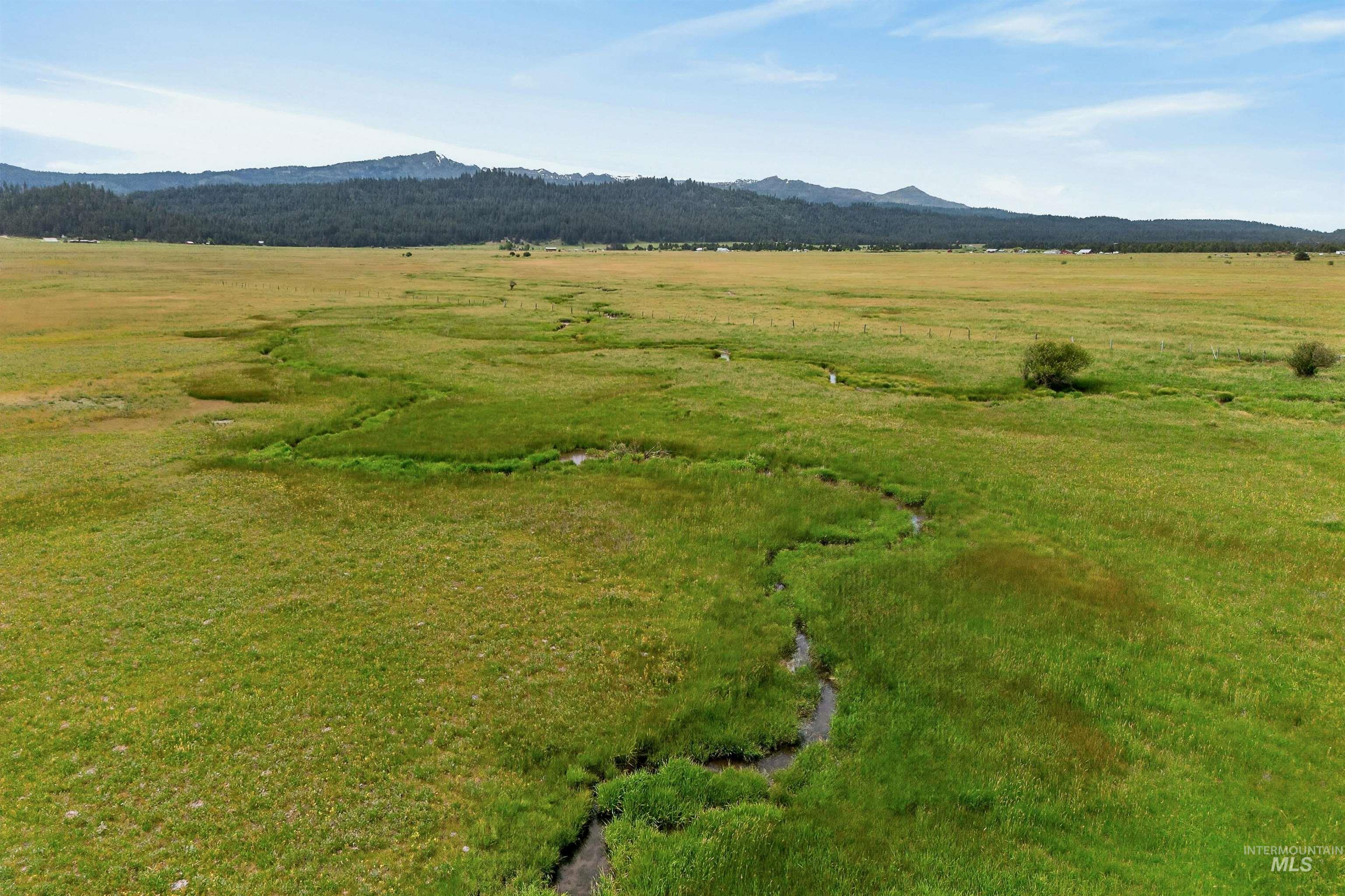 17 Gray Ln, Cascade, Idaho 83611, Land For Sale, Price $299,900,MLS 98989261