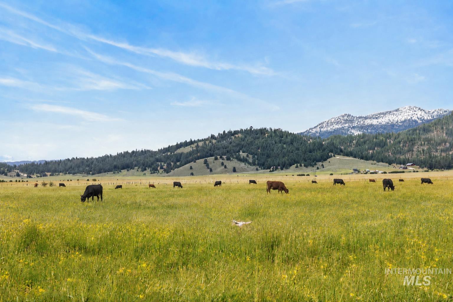 17 Gray Ln, Cascade, Idaho 83611, Land For Sale, Price $299,900,MLS 98989261