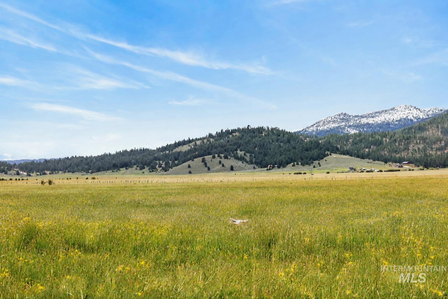 17 Gray Ln, Cascade, Idaho 83611, Land For Sale, Price $299,900,MLS 98989261