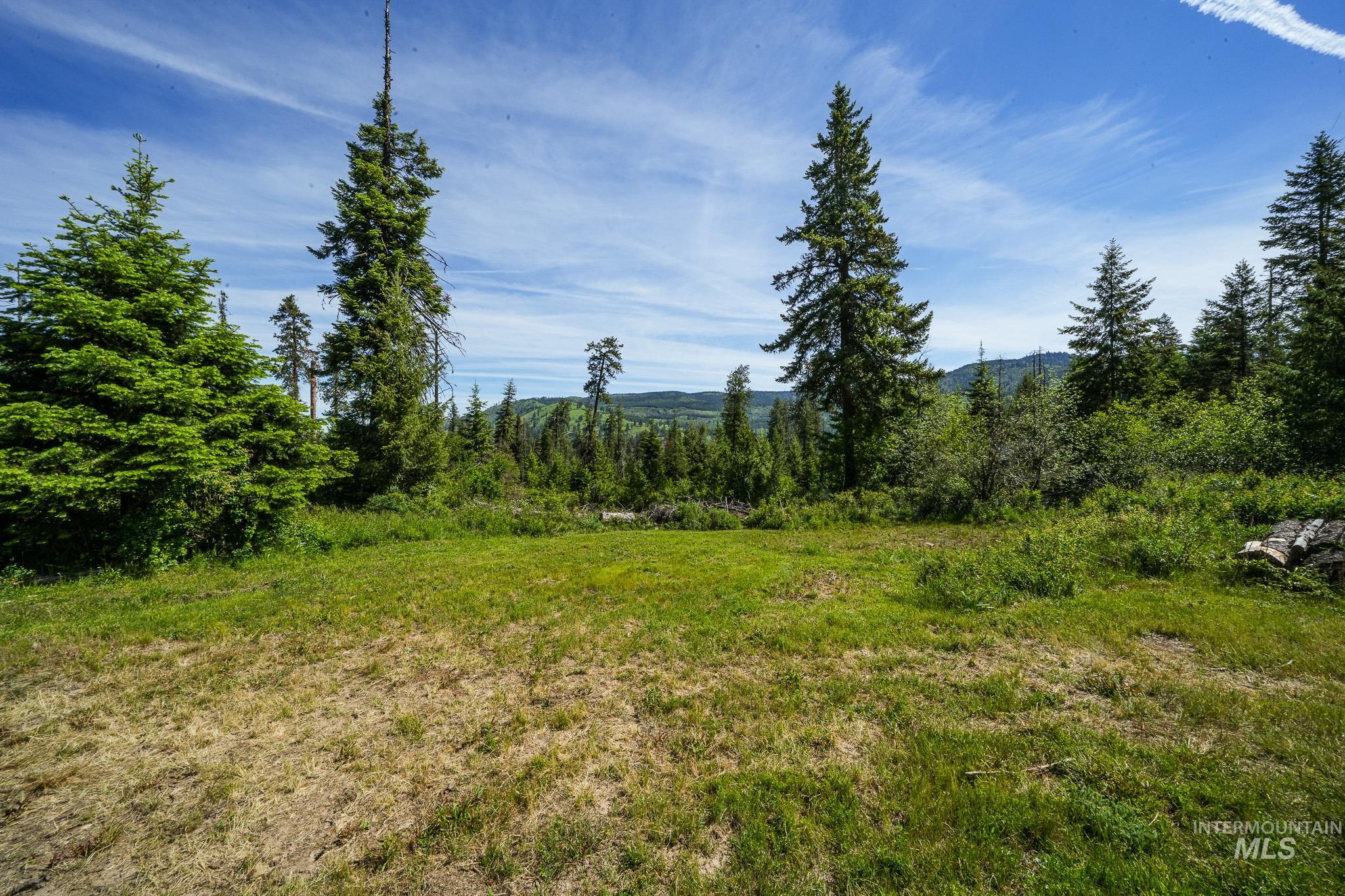 TBD Cove Creek Road, Grangeville, Idaho 83530, Land For Sale, Price $499,000,MLS 98989269