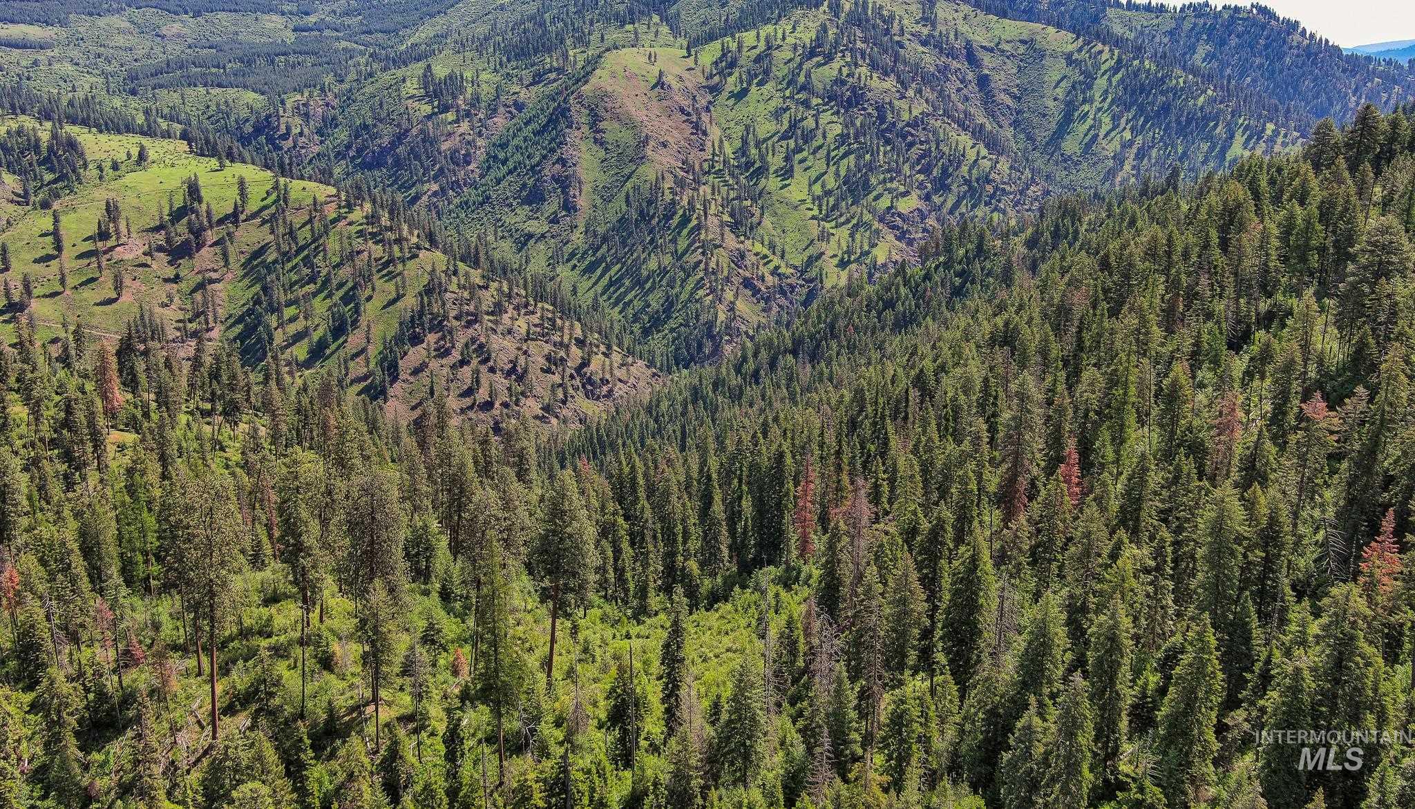 TBD Cove Creek Road, Grangeville, Idaho 83530, Land For Sale, Price $499,000,MLS 98989269