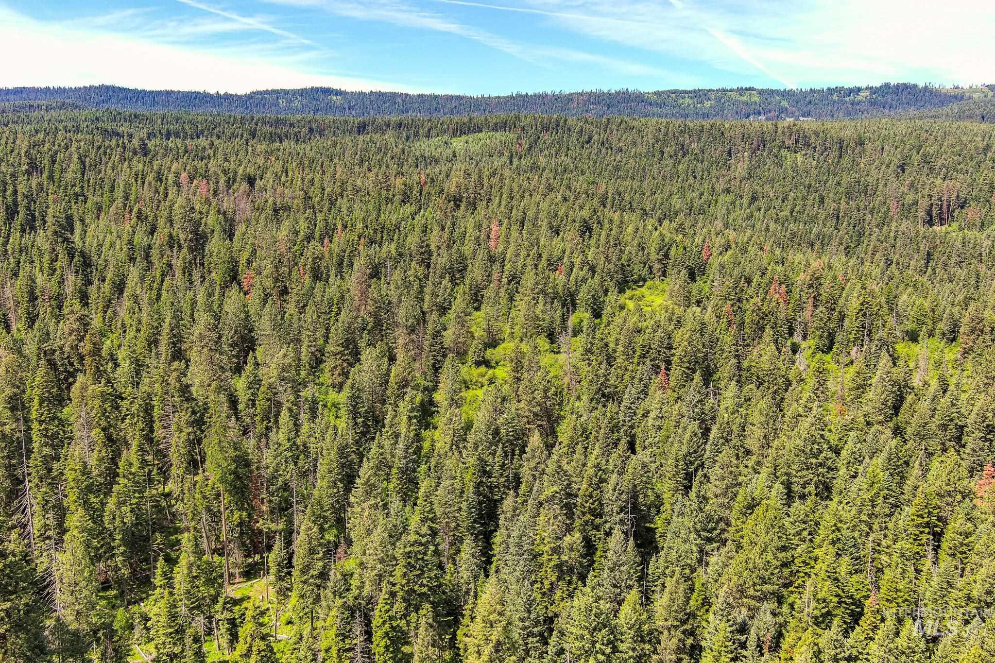 TBD Cove Creek Road, Grangeville, Idaho 83530, Land For Sale, Price $499,000,MLS 98989269