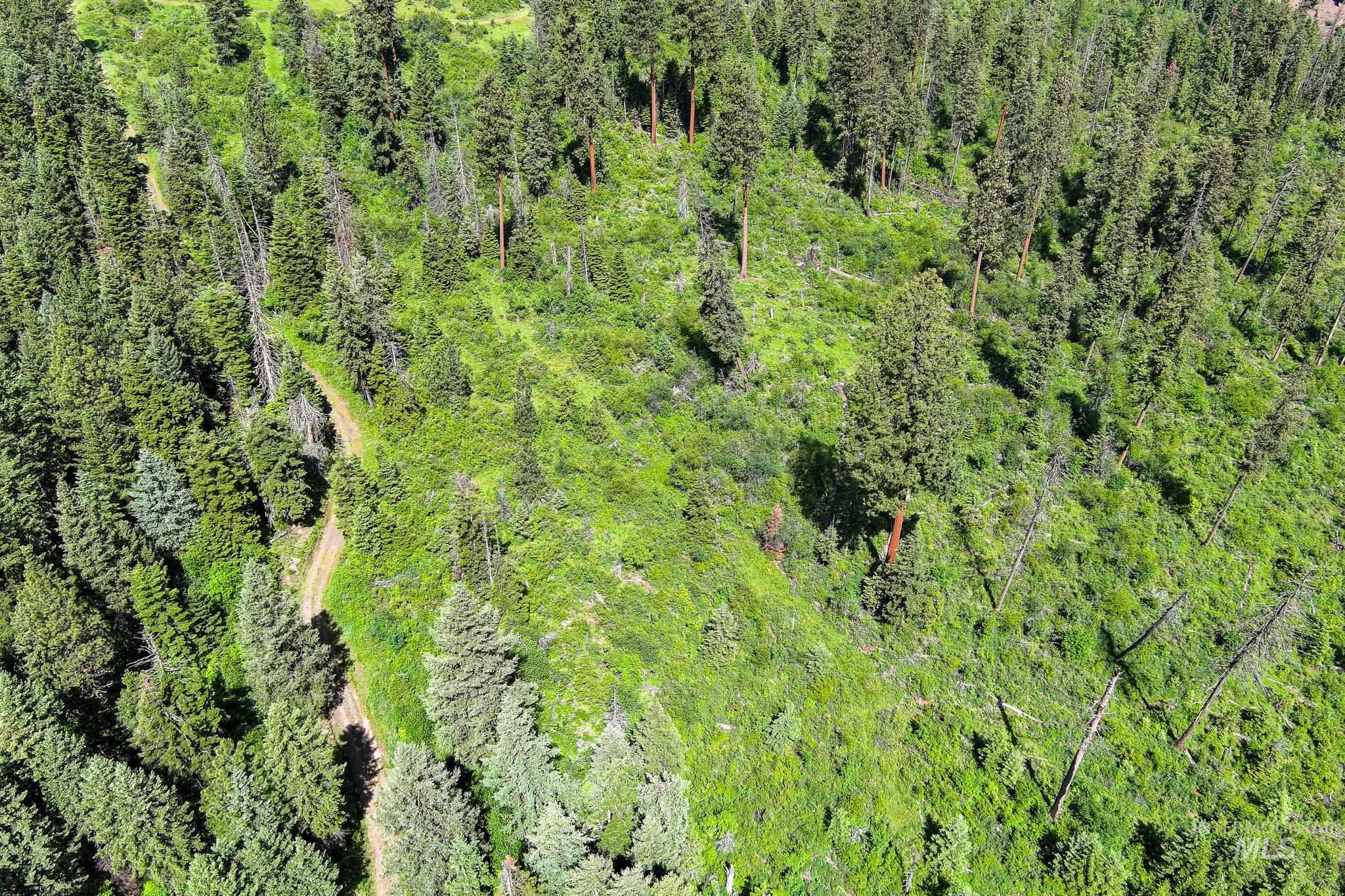 TBD Cove Creek Road, Grangeville, Idaho 83530, Land For Sale, Price $499,000,MLS 98989269