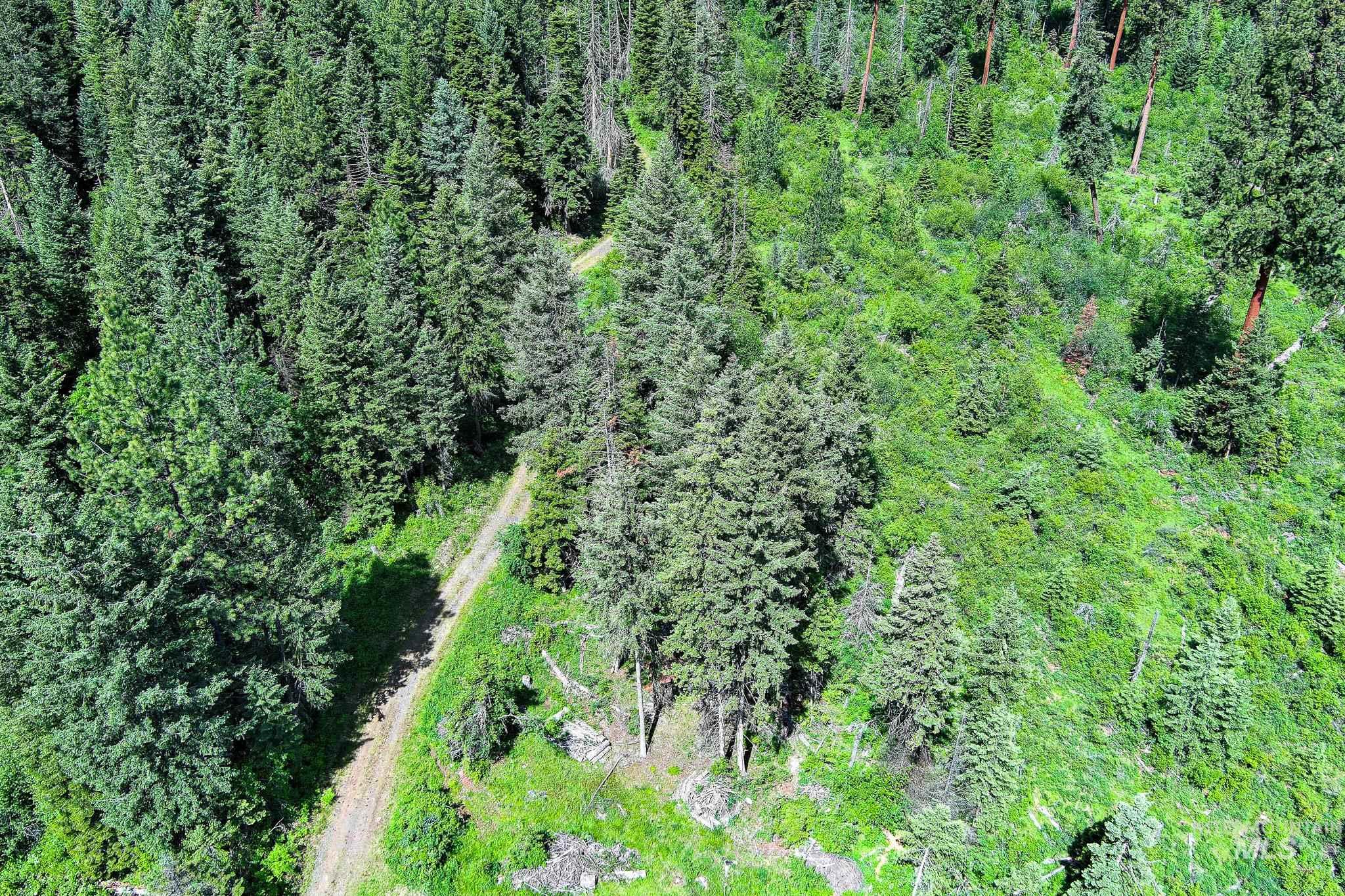 TBD Cove Creek Road, Grangeville, Idaho 83530, Land For Sale, Price $499,000,MLS 98989269