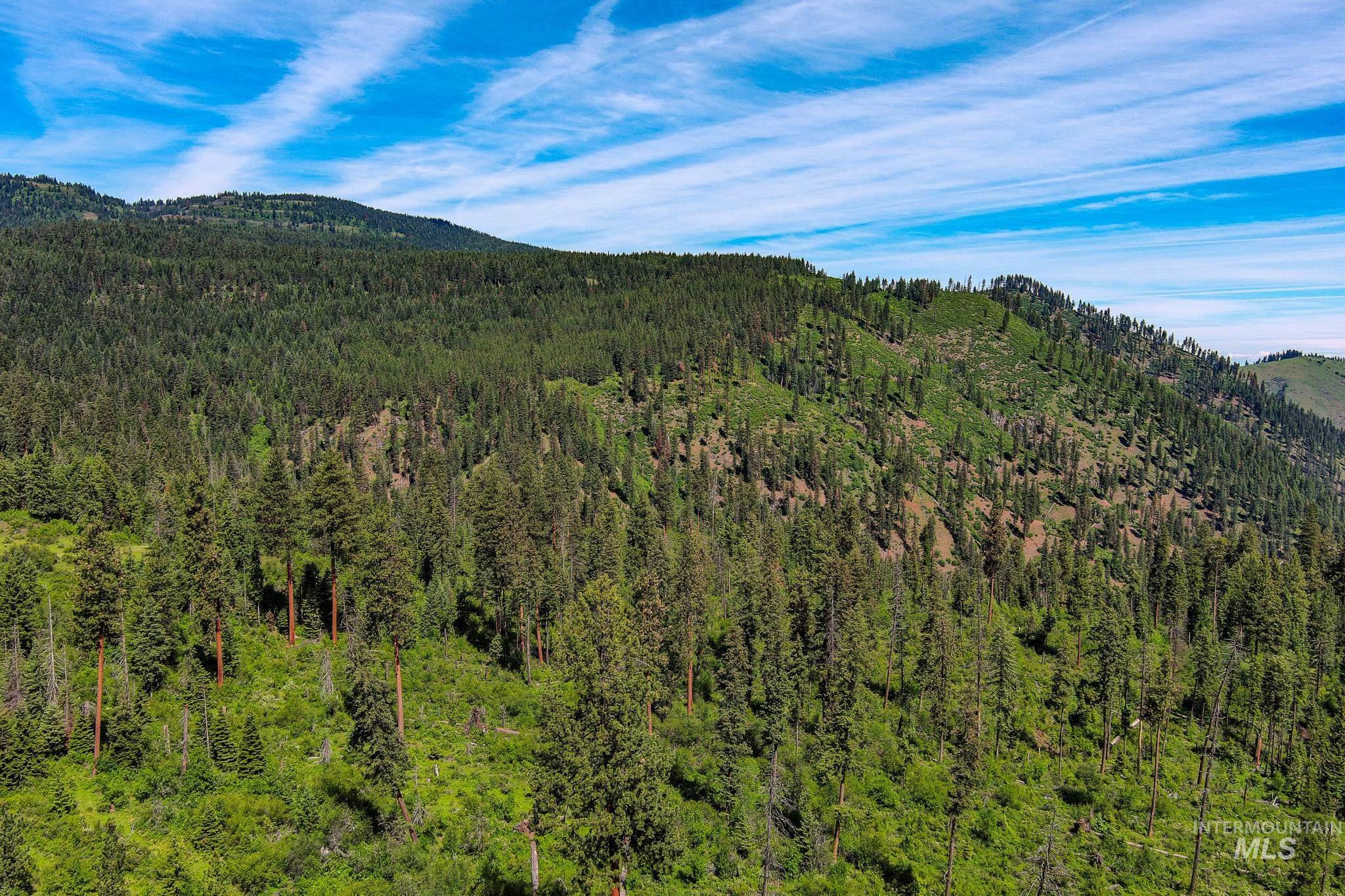 TBD Cove Creek Road, Grangeville, Idaho 83530, Land For Sale, Price $499,000,MLS 98989269