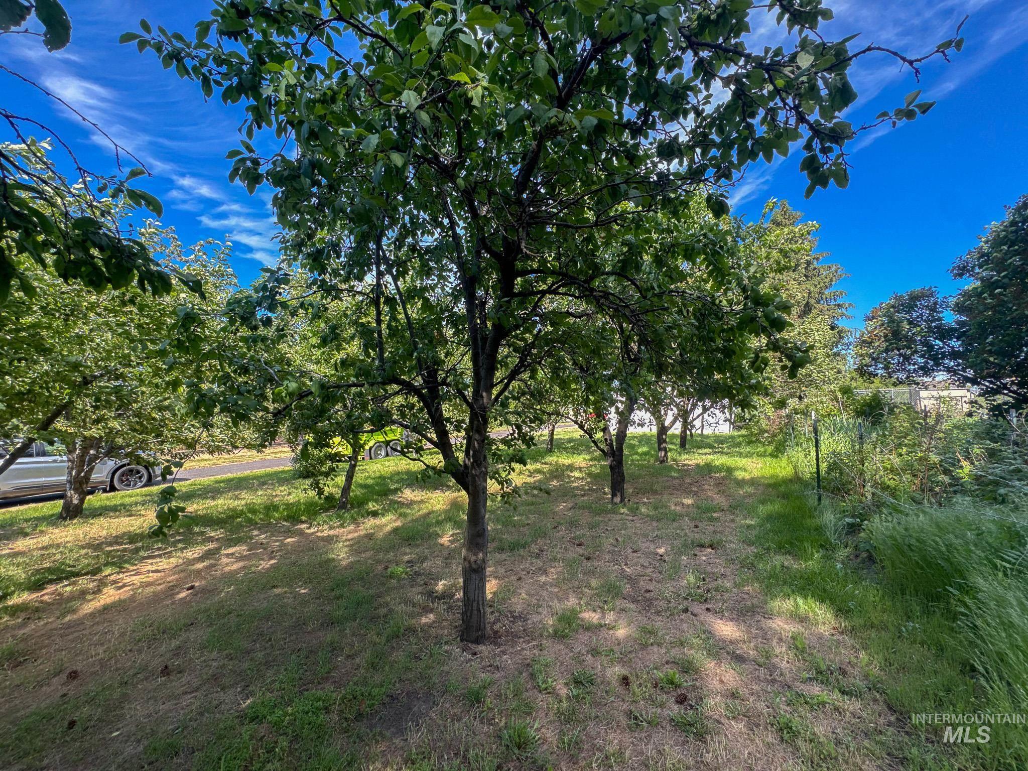703 College St, Colton, Washington 99113, 4 Bedrooms, 2 Bathrooms, Residential For Sale, Price $539,900,MLS 98989273