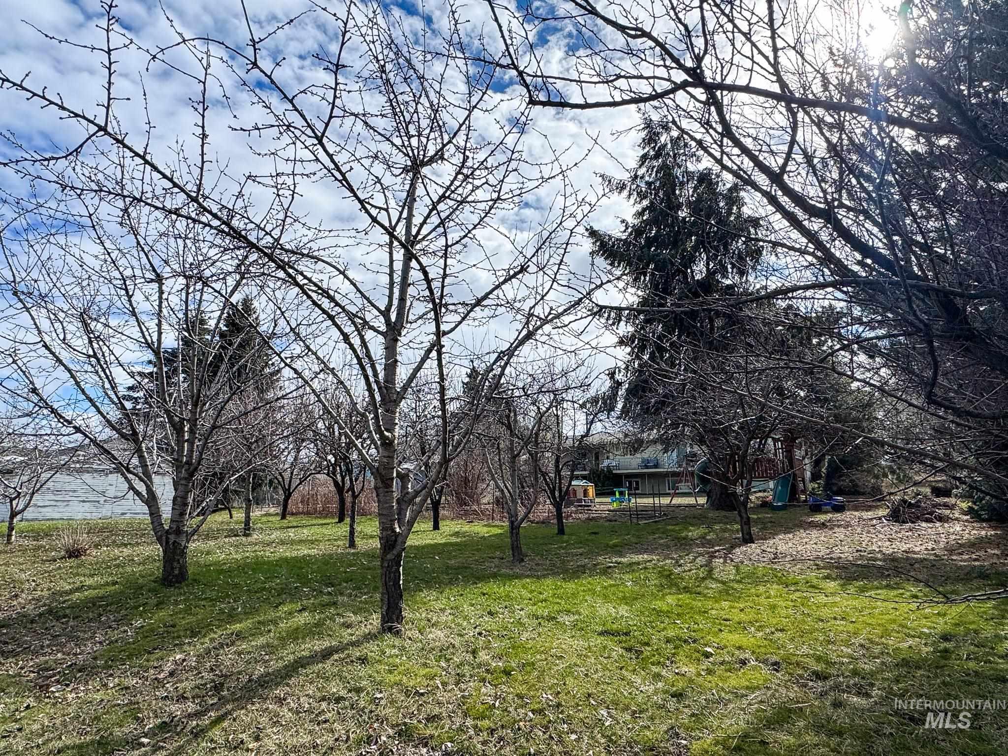703 College St, Colton, Washington 99113, 4 Bedrooms, 2 Bathrooms, Residential For Sale, Price $539,900,MLS 98989273