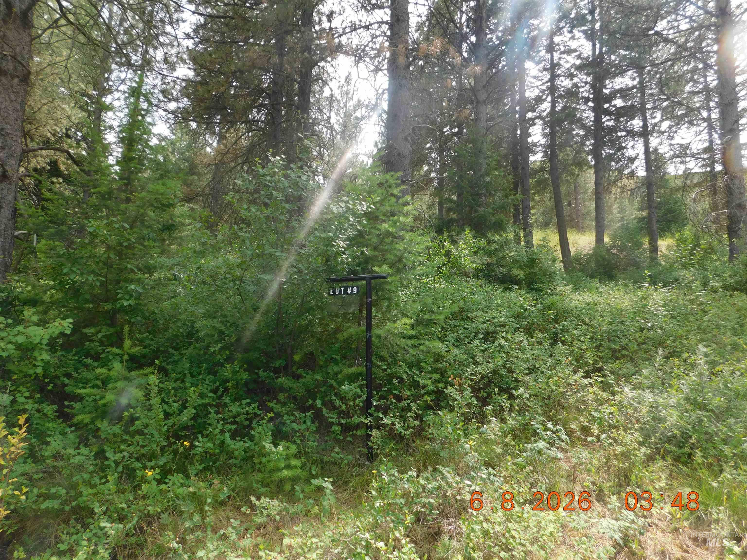 Lot 9 Elk Crossing Drive, Council, Idaho 83612, Land For Sale, Price $400,000,MLS 98989274