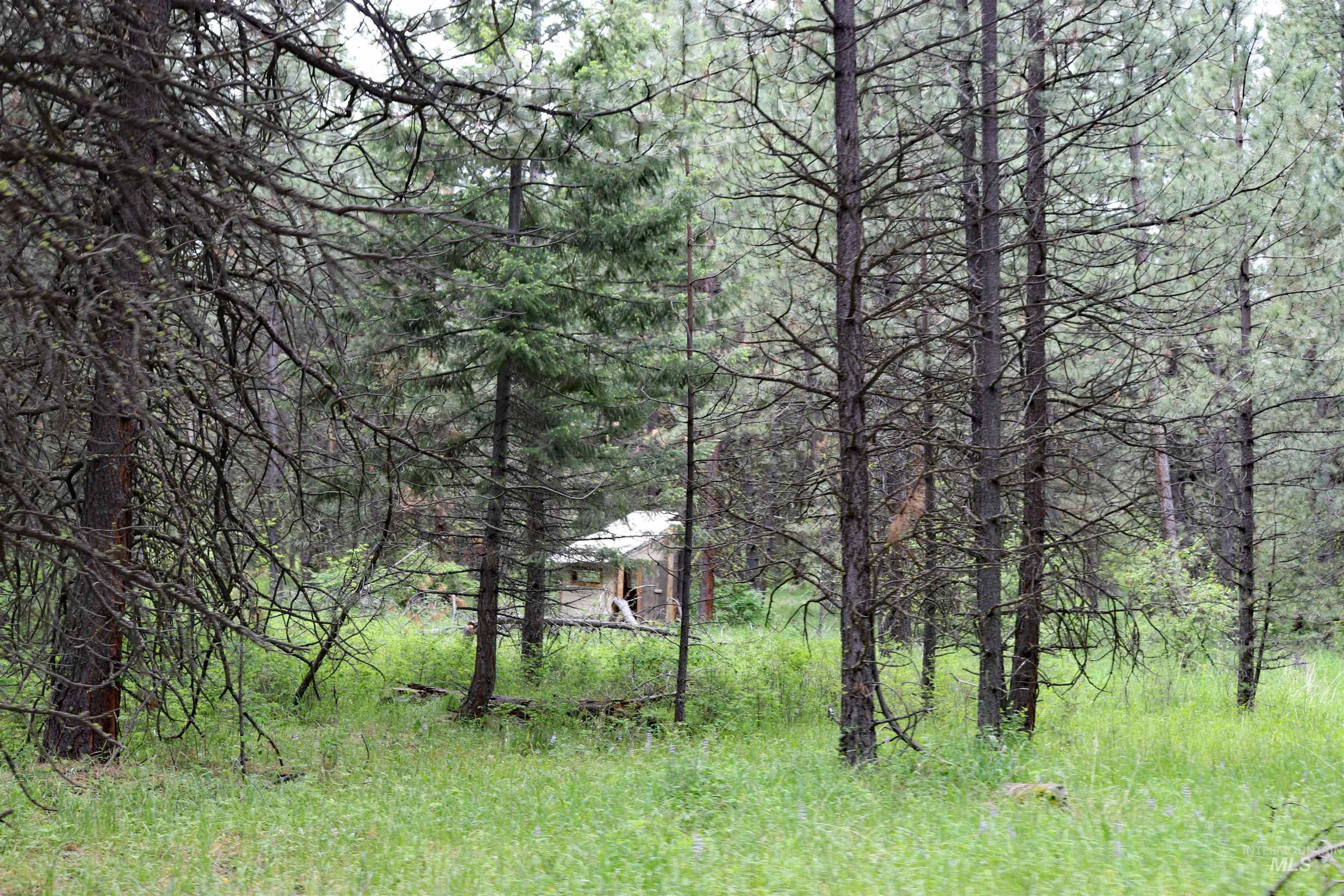 1826 Joseph Road, CottonWood, Idaho 83522, 1 Bedroom, 2 Bathrooms, Residential For Sale, Price $648,000,MLS 98989340