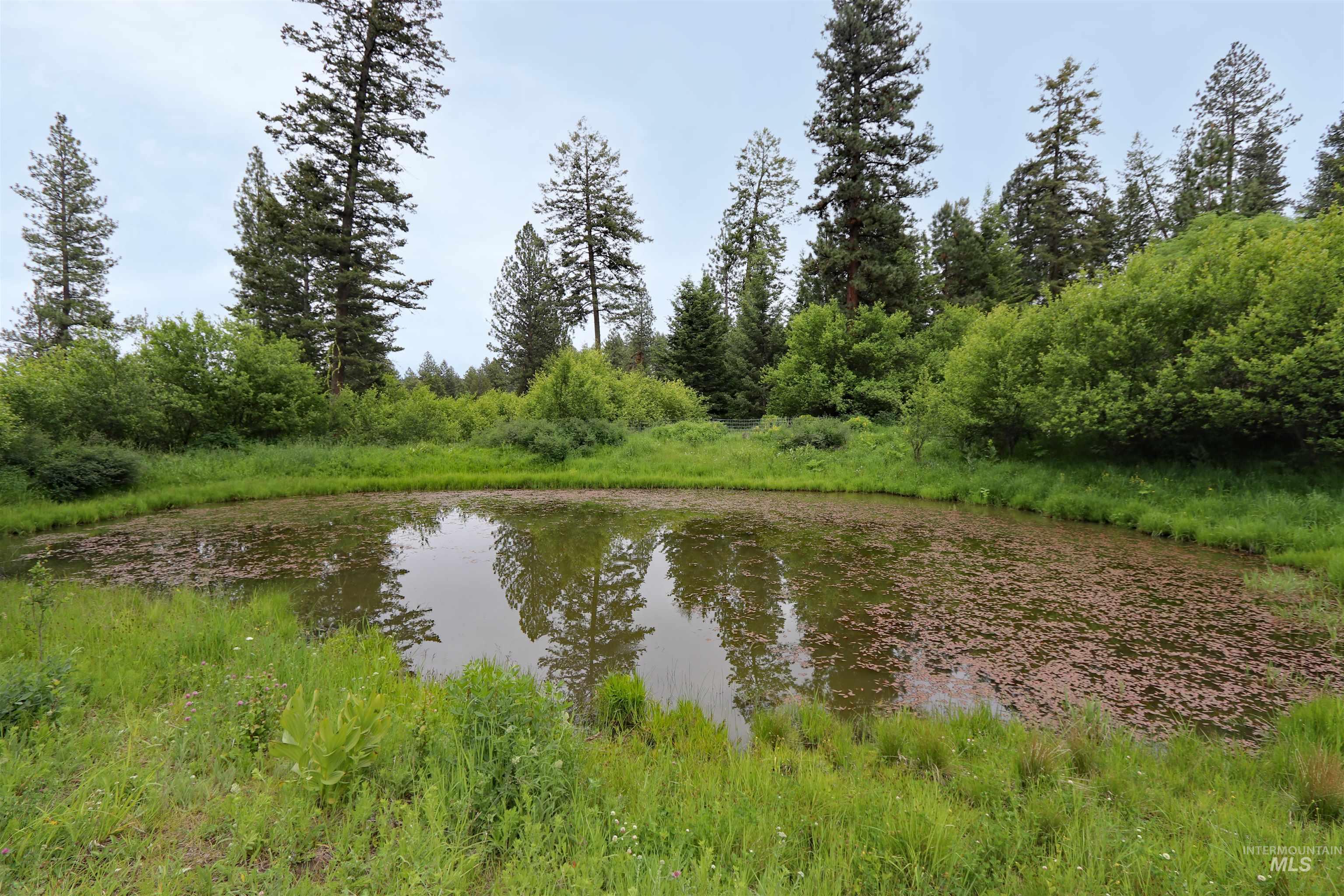 1826 Joseph Road, CottonWood, Idaho 83522, 1 Bedroom, 2 Bathrooms, Residential For Sale, Price $648,000,MLS 98989340