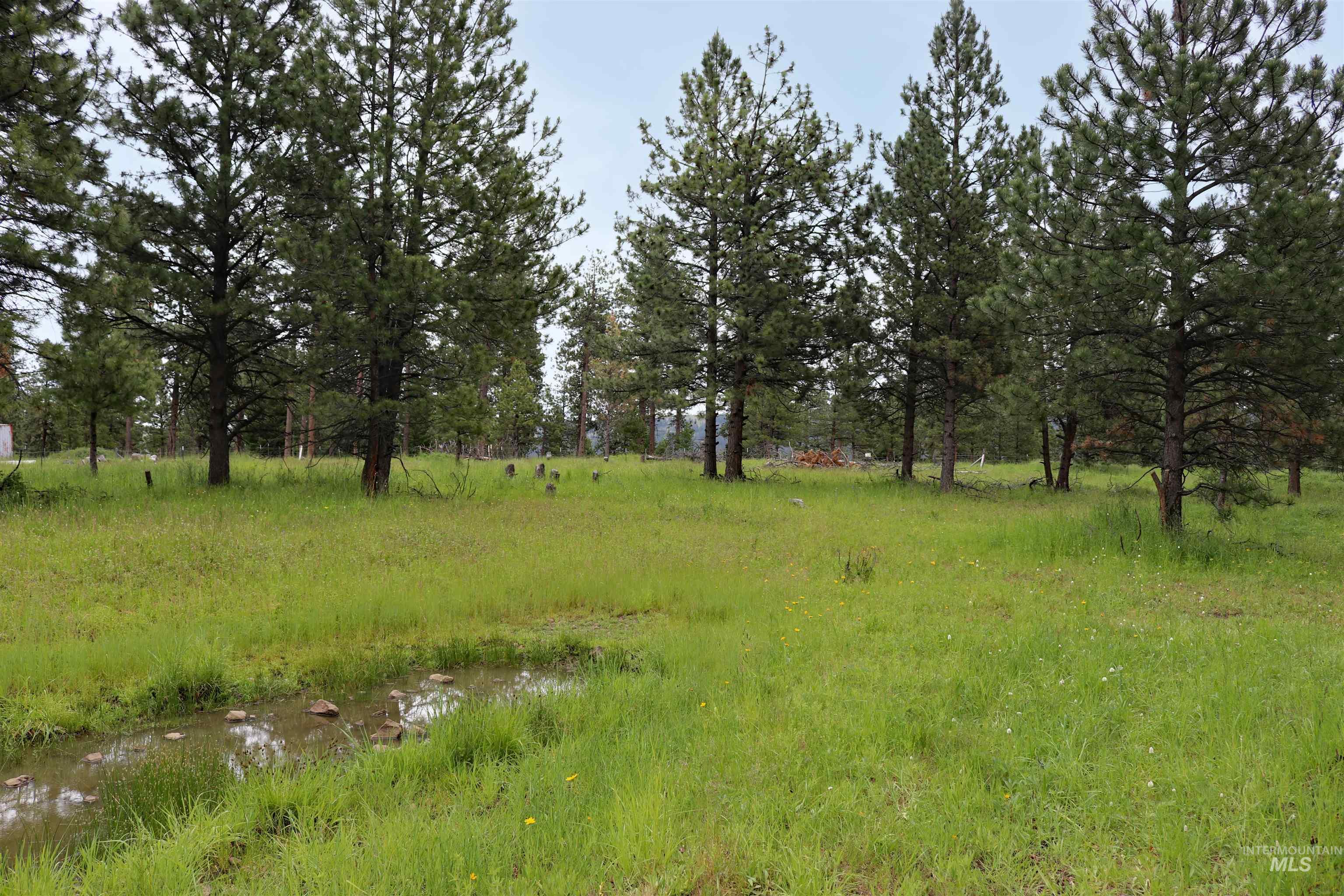 1826 Joseph Road, CottonWood, Idaho 83522, 1 Bedroom, 2 Bathrooms, Residential For Sale, Price $648,000,MLS 98989340