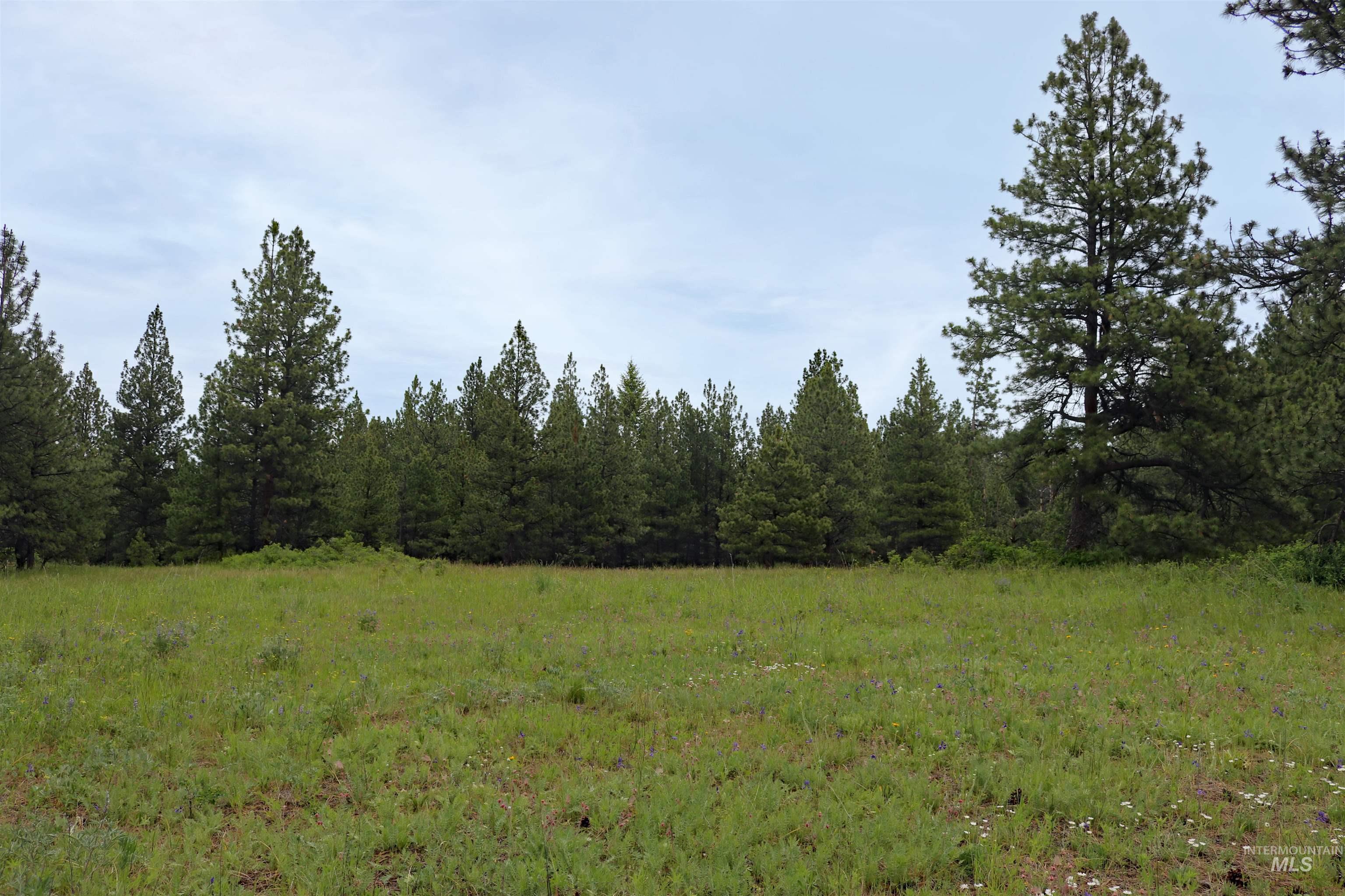 1826 Joseph Road, CottonWood, Idaho 83522, 1 Bedroom, 2 Bathrooms, Residential For Sale, Price $648,000,MLS 98989340
