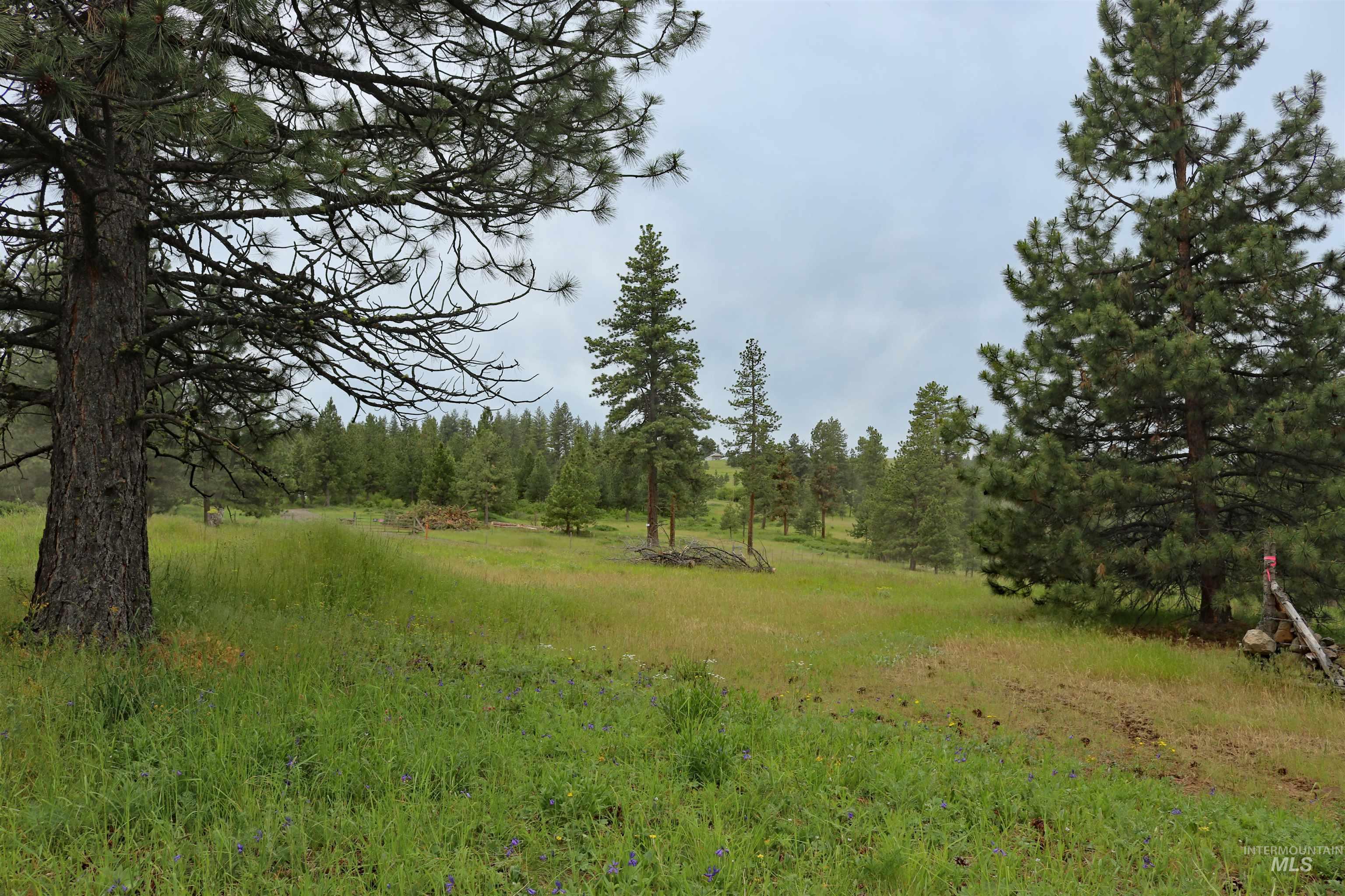 1826 Joseph Road, CottonWood, Idaho 83522, 1 Bedroom, 2 Bathrooms, Residential For Sale, Price $648,000,MLS 98989340