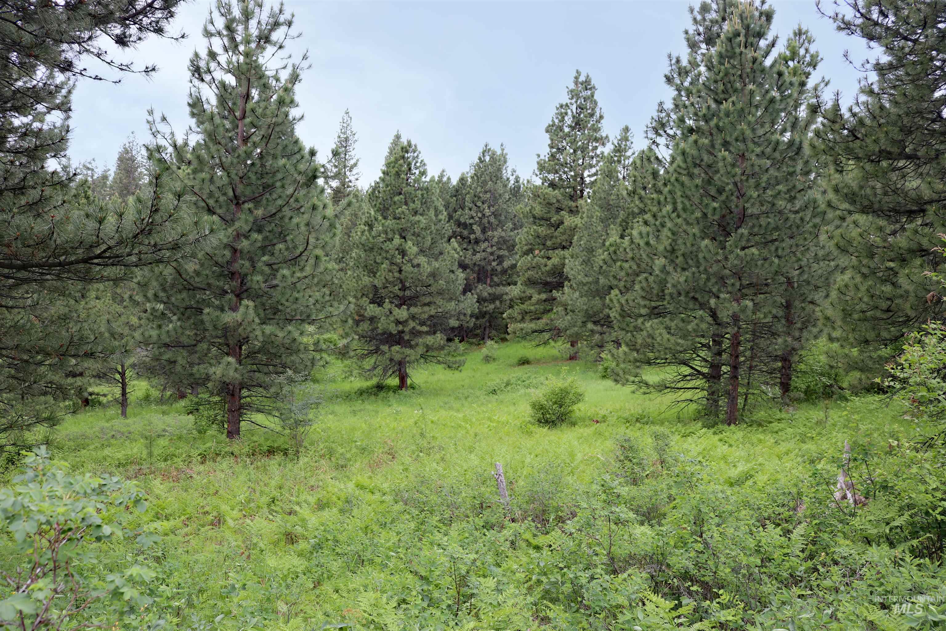 1826 Joseph Road, CottonWood, Idaho 83522, 1 Bedroom, 2 Bathrooms, Residential For Sale, Price $648,000,MLS 98989340