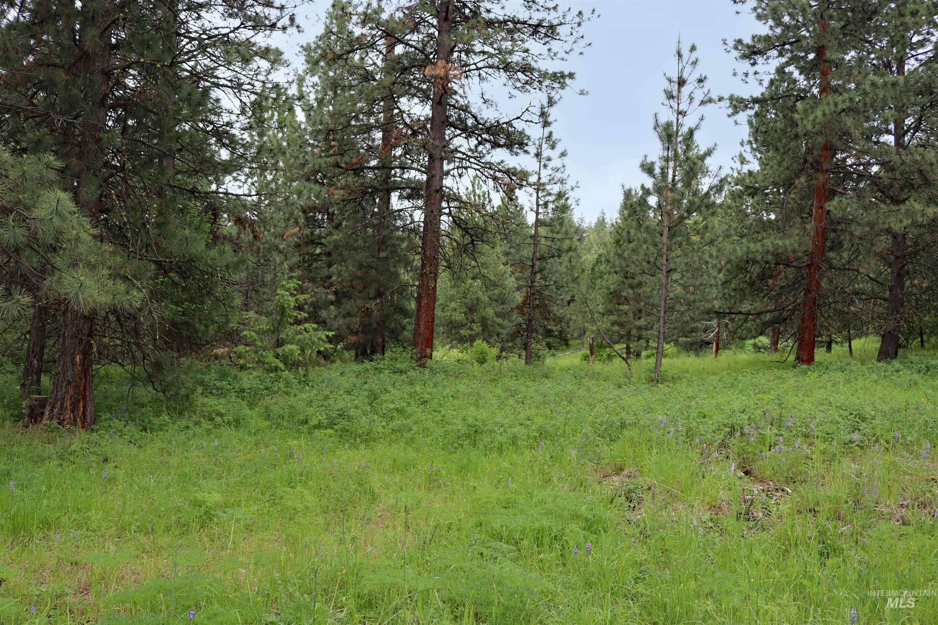 1826 Joseph Road, CottonWood, Idaho 83522, 1 Bedroom, 2 Bathrooms, Residential For Sale, Price $648,000,MLS 98989340