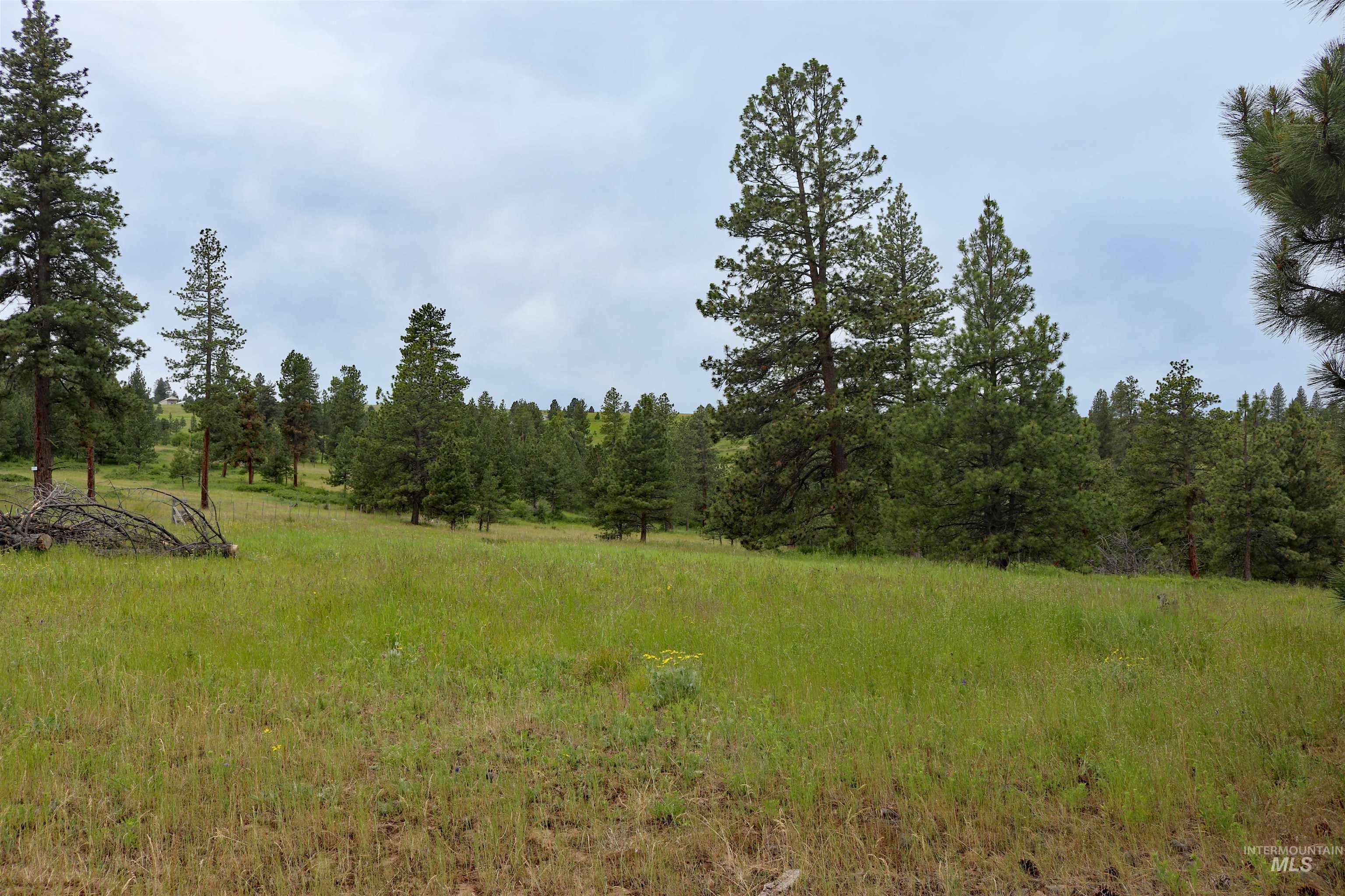 1826 Joseph Road, CottonWood, Idaho 83522, 1 Bedroom, 2 Bathrooms, Residential For Sale, Price $648,000,MLS 98989340