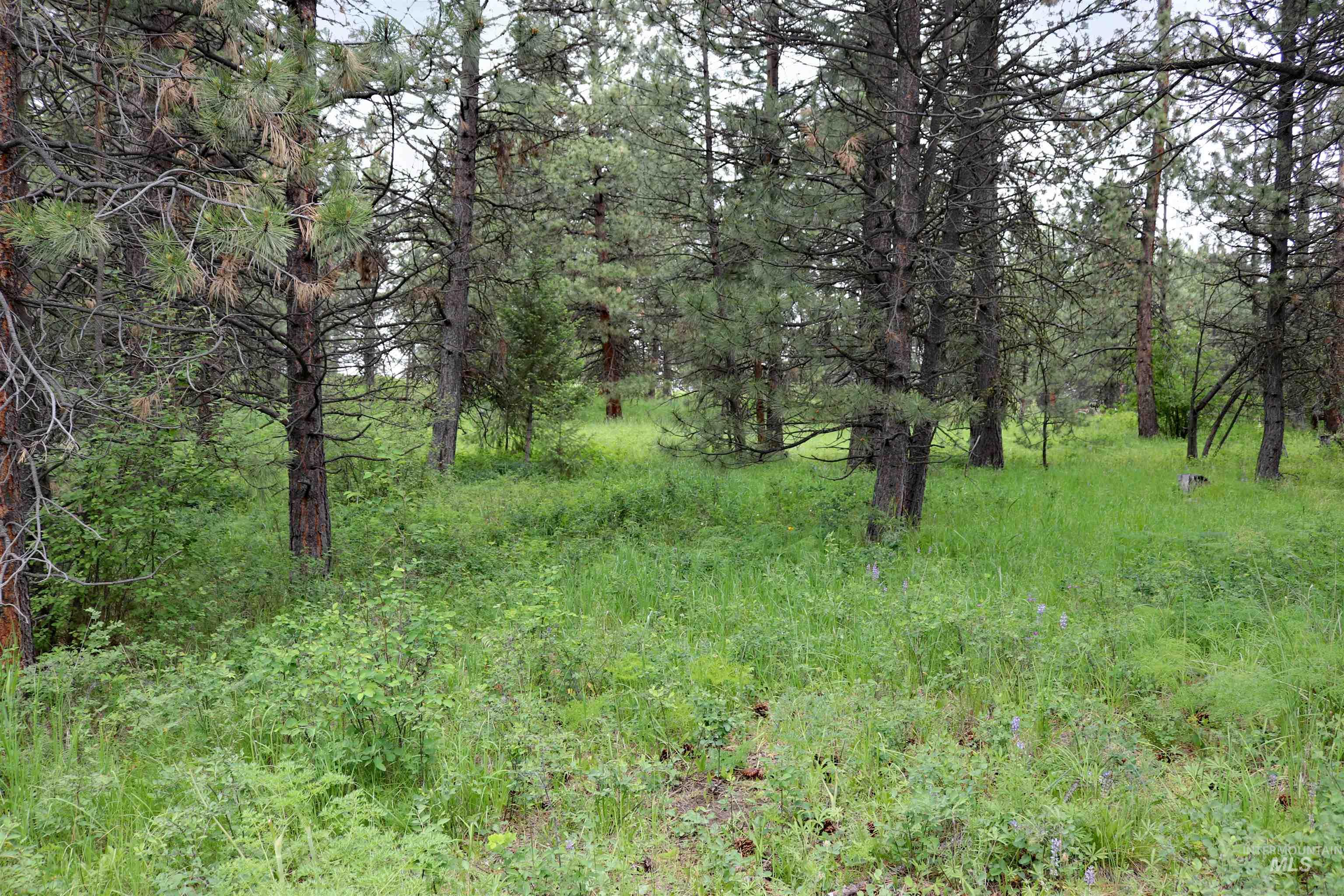 1826 Joseph Road, CottonWood, Idaho 83522, 1 Bedroom, 2 Bathrooms, Residential For Sale, Price $648,000,MLS 98989340