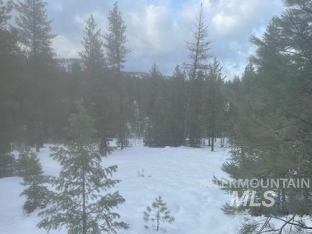 48 W Pine Add, New Meadows, Idaho 83654, Land For Sale, Price $249,000,MLS 98989408