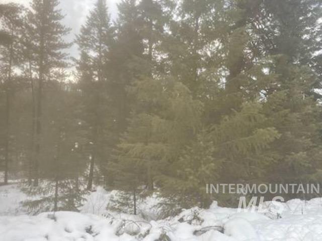 48 W Pine Add, New Meadows, Idaho 83654, Land For Sale, Price $249,000,MLS 98989408
