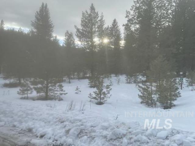 48 W Pine Add, New Meadows, Idaho 83654, Land For Sale, Price $249,000,MLS 98989408