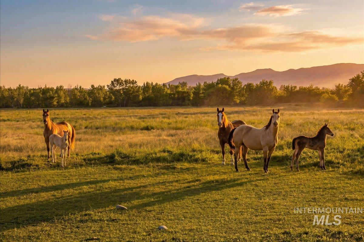 TBD Vanderdasson, Emmett, Idaho 83617, Land For Sale, Price $1,980,000,MLS 98989412