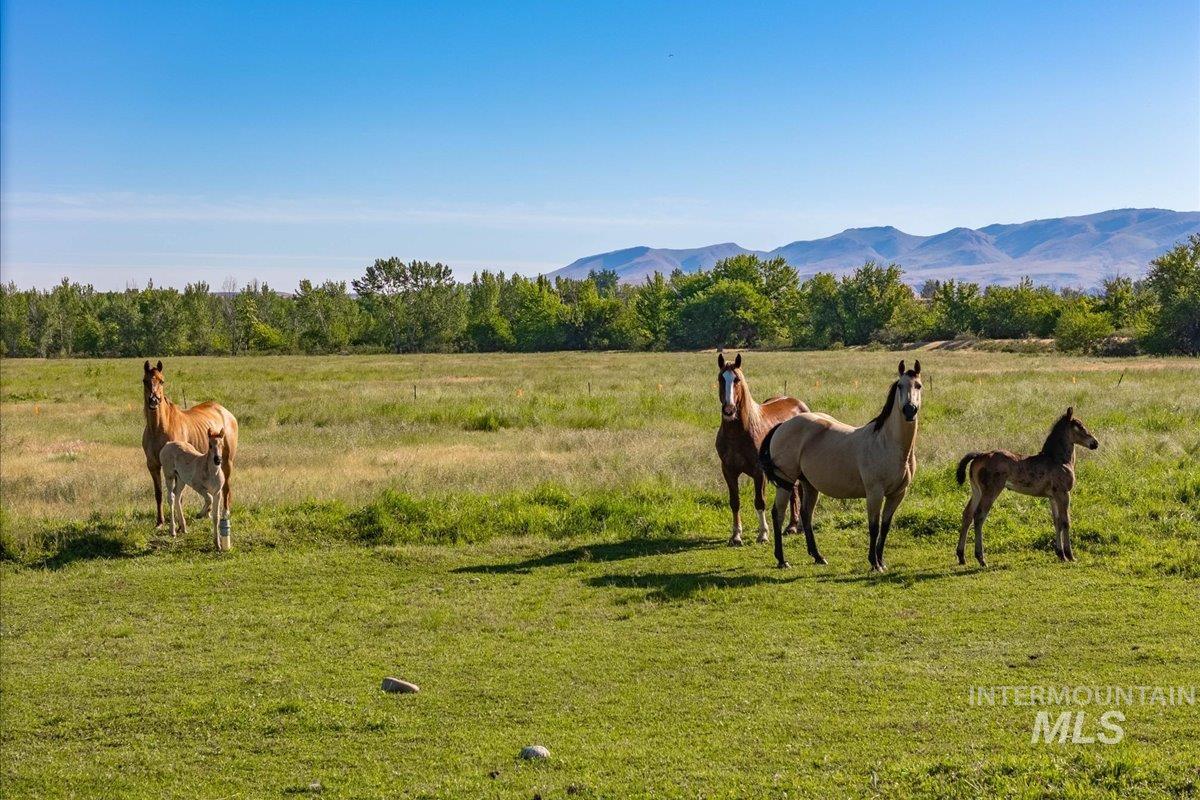 TBD Vanderdasson, Emmett, Idaho 83617, Land For Sale, Price $1,980,000,MLS 98989412