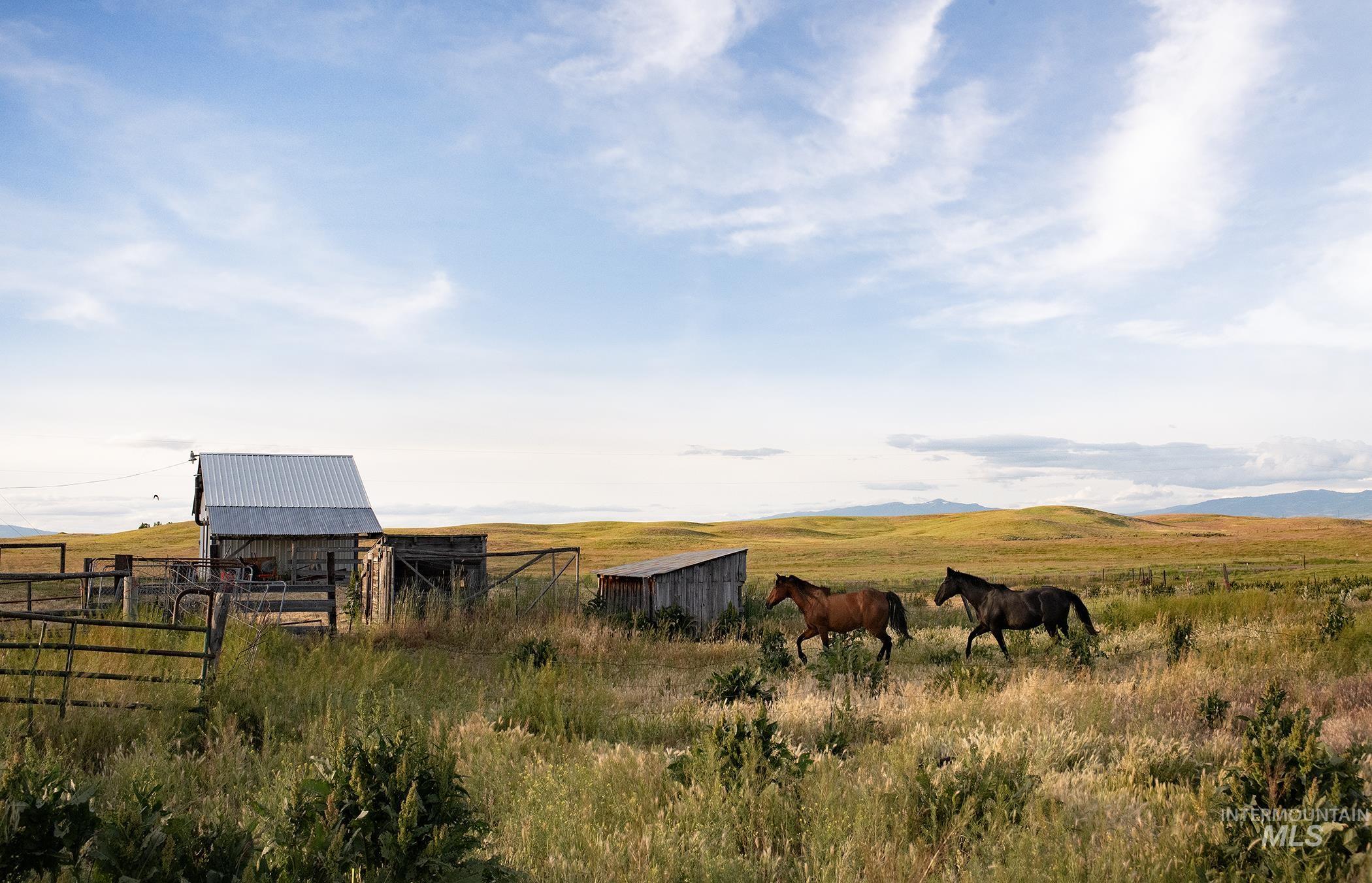 3115 Farm To Market Rd, Midvale, Idaho 83645, 3 Bedrooms, 3 Bathrooms, Farm & Ranch For Sale, Price $499,000,MLS 98989415
