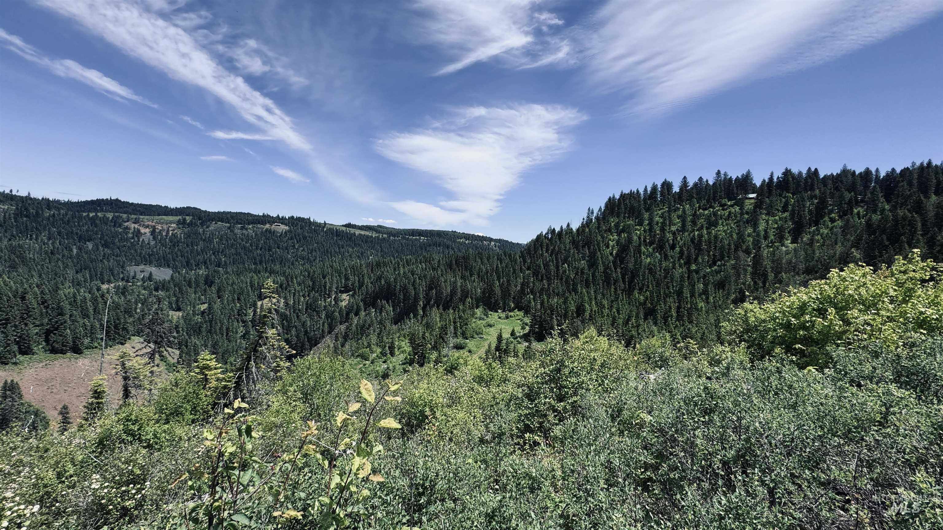 TBD Glenwood, Kamiah, Idaho 83536, Land For Sale, Price $299,999,MLS 98989435