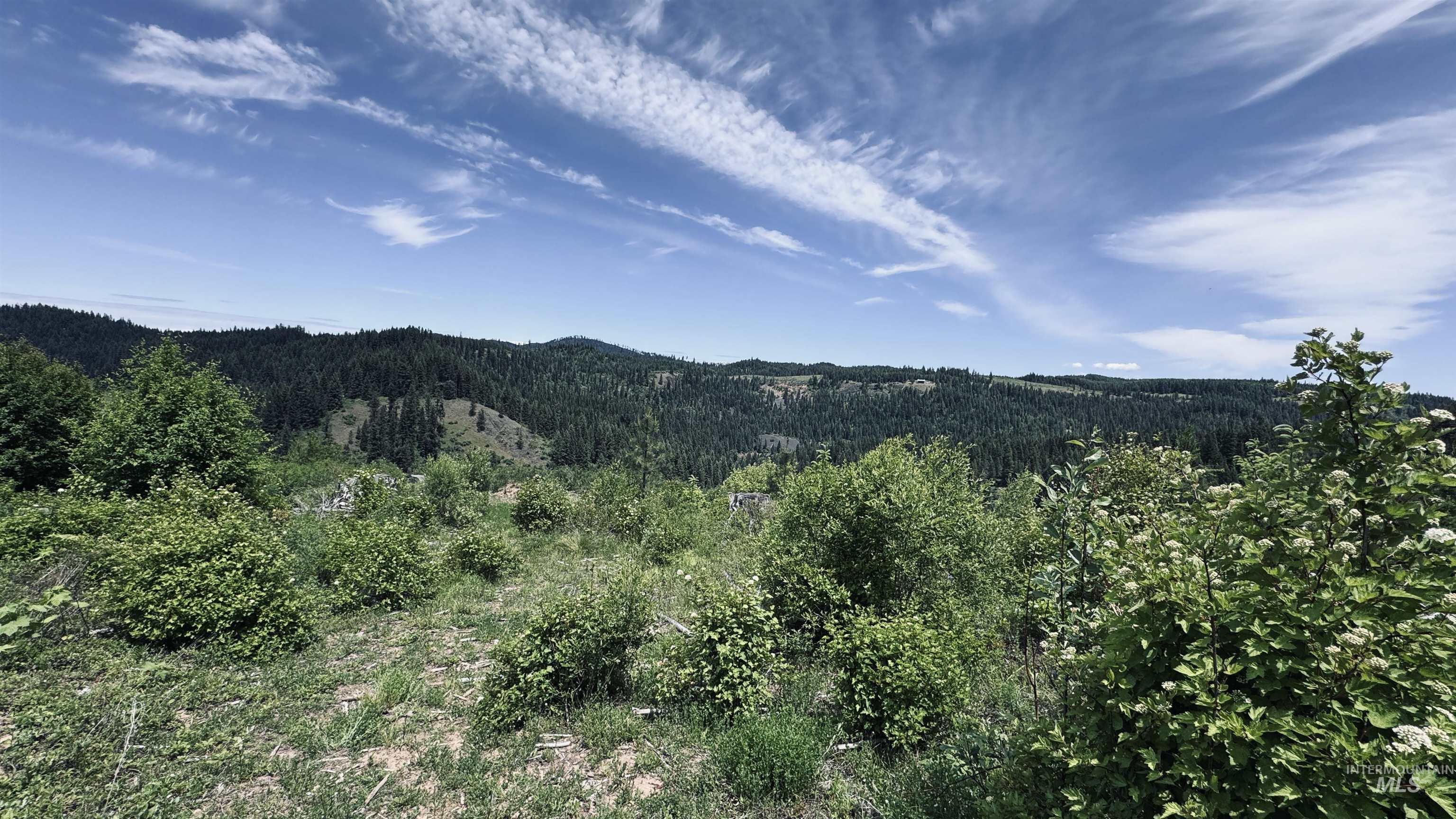 TBD Glenwood, Kamiah, Idaho 83536, Land For Sale, Price $299,999,MLS 98989435