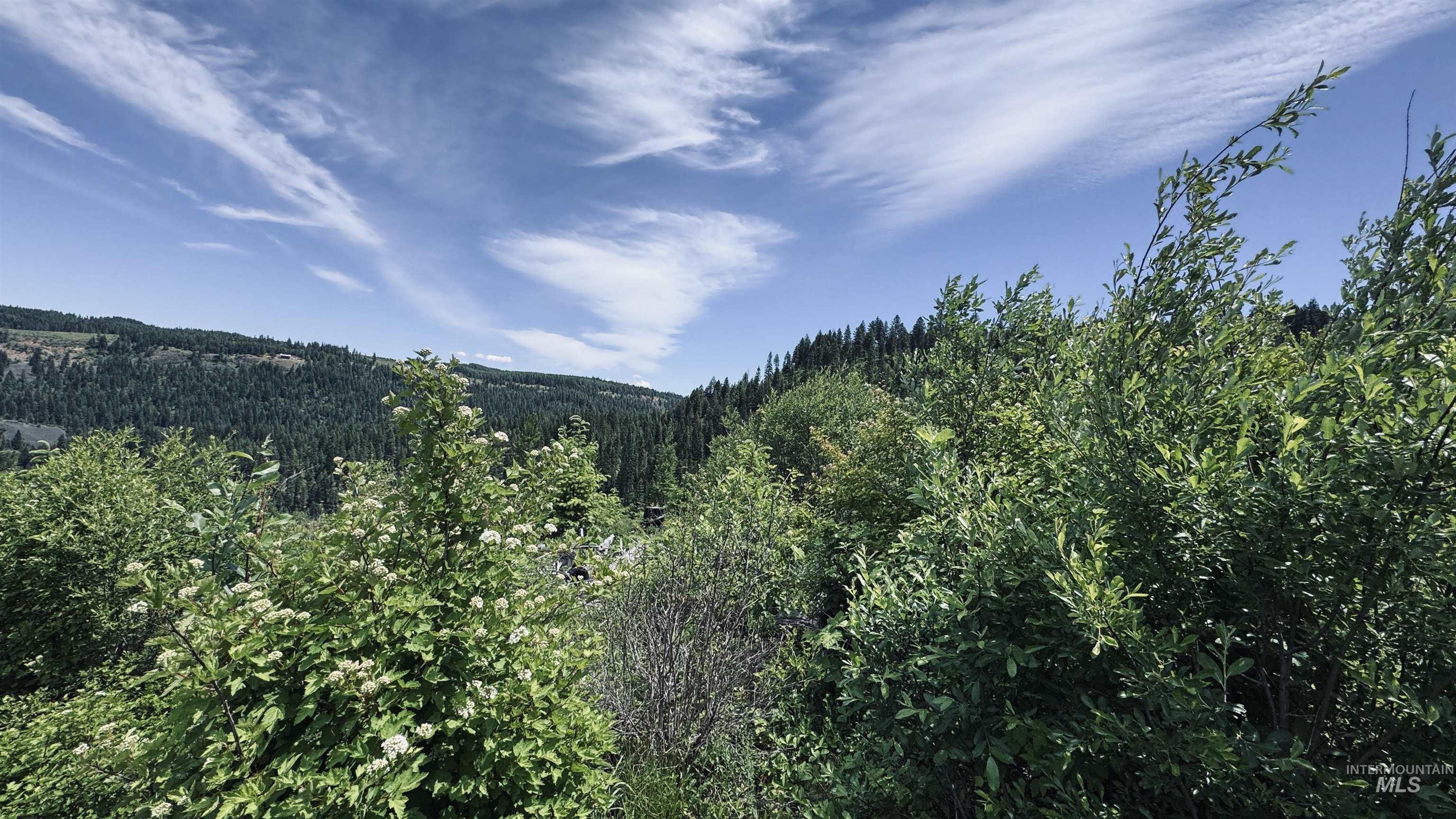 TBD Glenwood, Kamiah, Idaho 83536, Land For Sale, Price $299,999,MLS 98989435