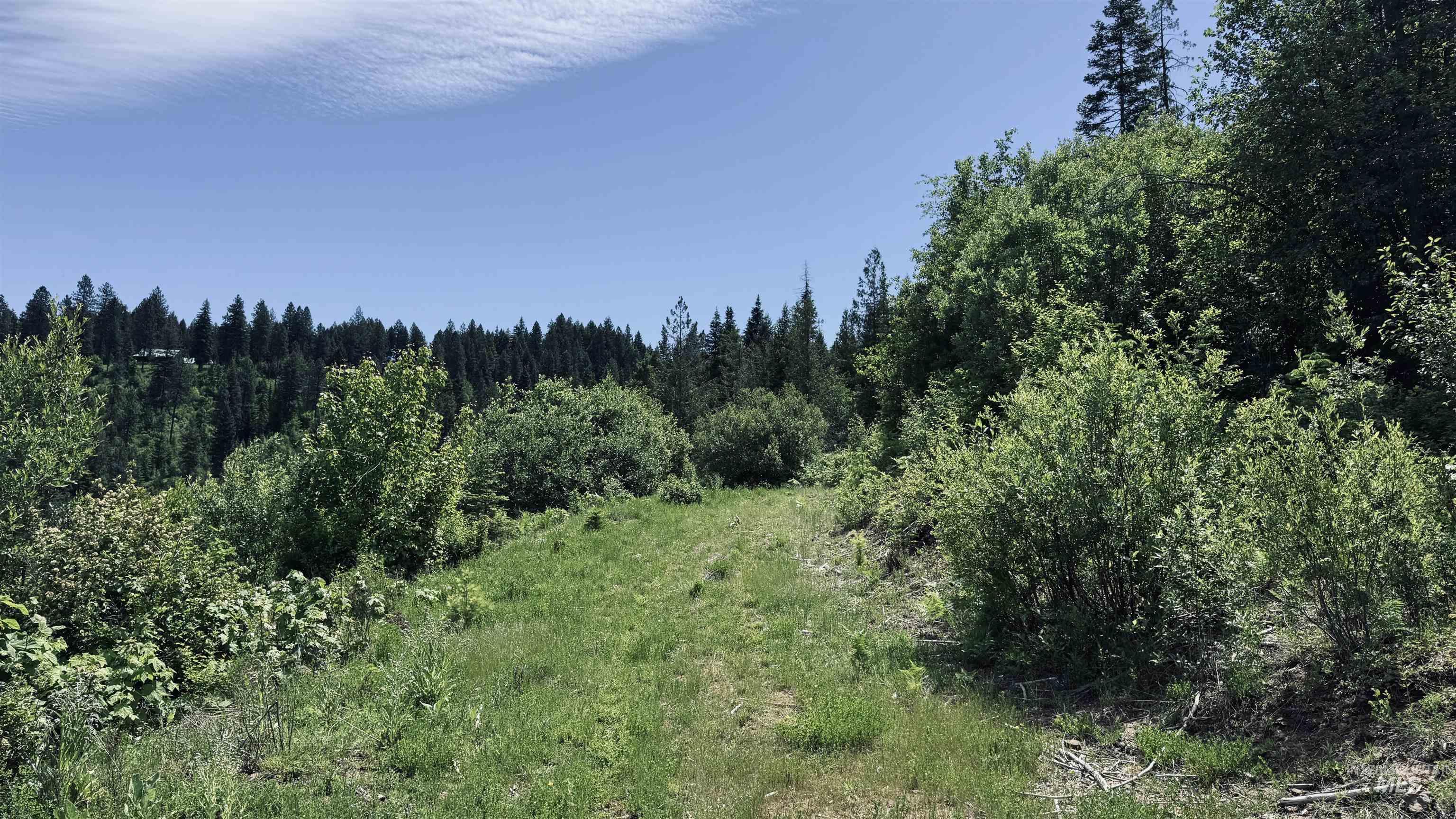 TBD Glenwood, Kamiah, Idaho 83536, Land For Sale, Price $299,999,MLS 98989435