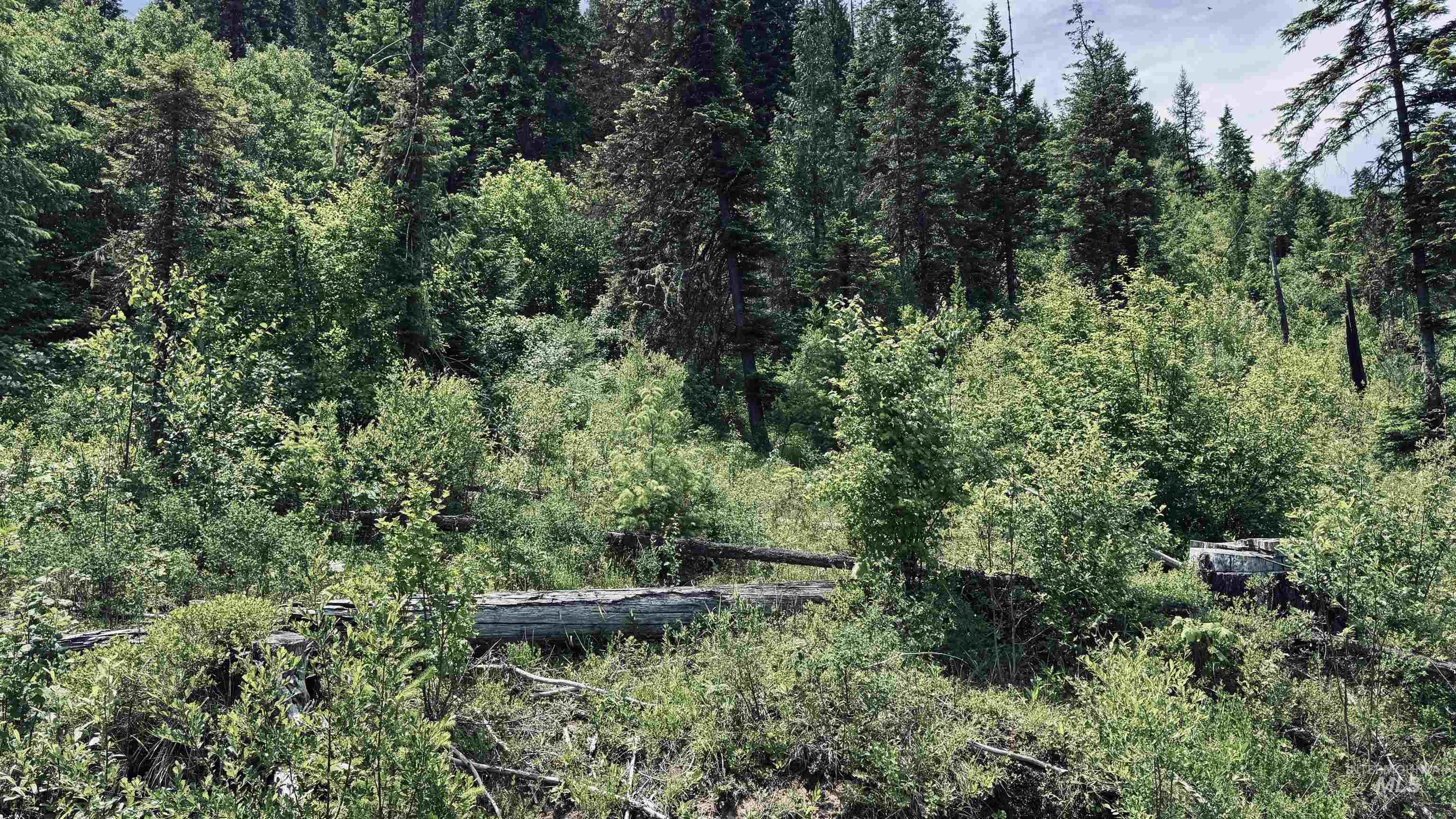 TBD Glenwood, Kamiah, Idaho 83536, Land For Sale, Price $299,999,MLS 98989435