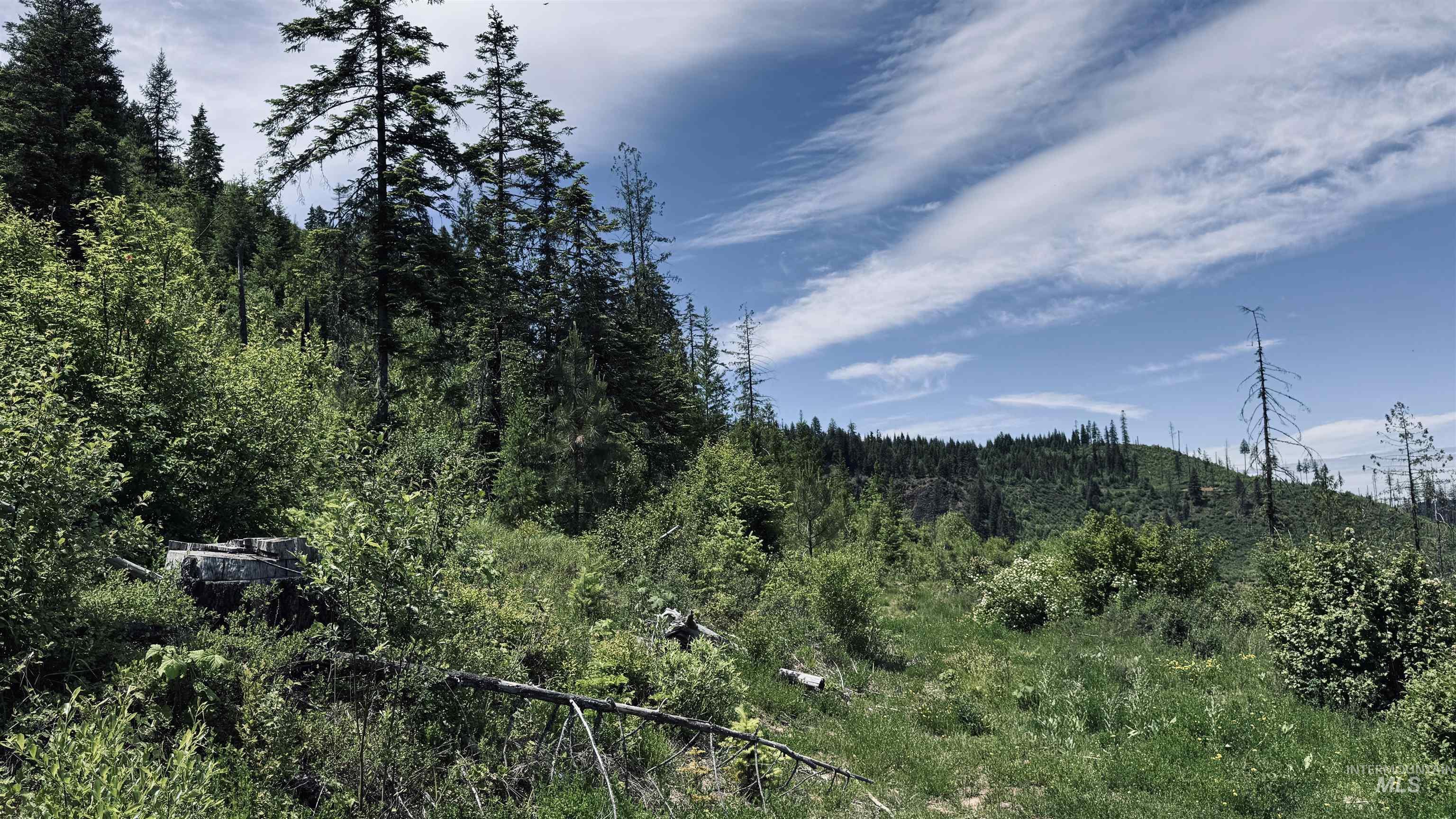 TBD Glenwood, Kamiah, Idaho 83536, Land For Sale, Price $299,999,MLS 98989435