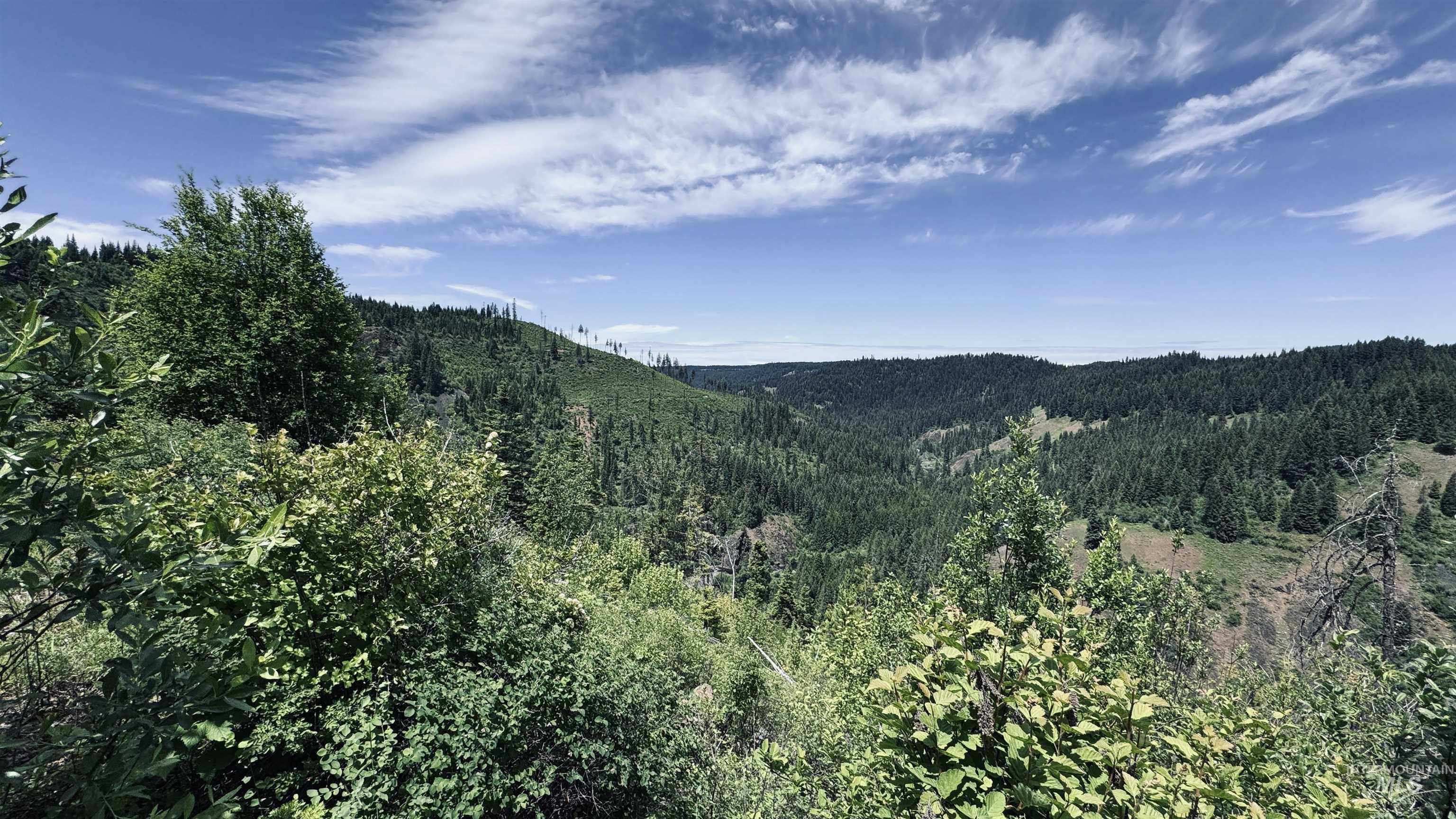 TBD Glenwood, Kamiah, Idaho 83536, Land For Sale, Price $299,999,MLS 98989435