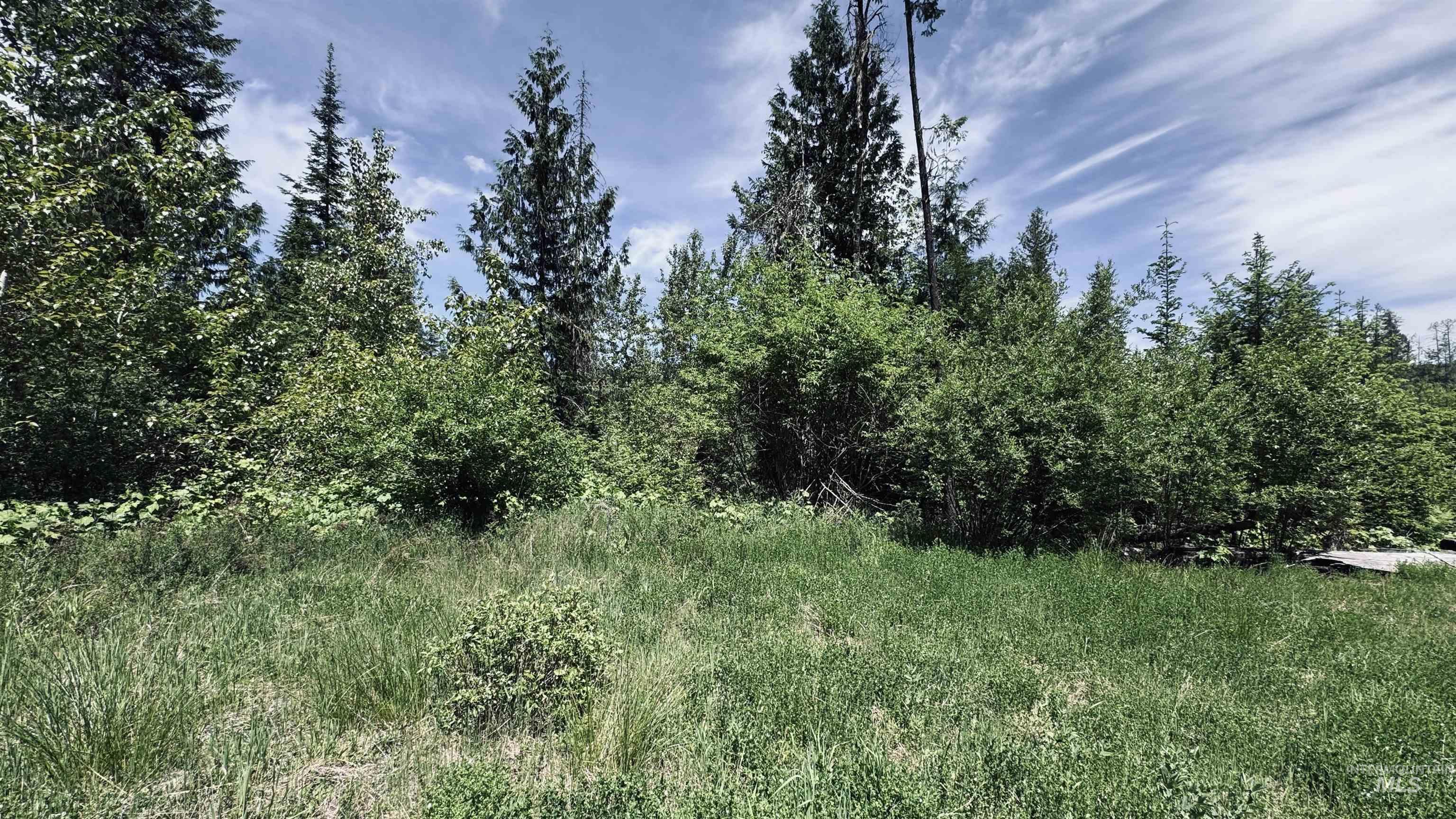 TBD Glenwood, Kamiah, Idaho 83536, Land For Sale, Price $299,999,MLS 98989435
