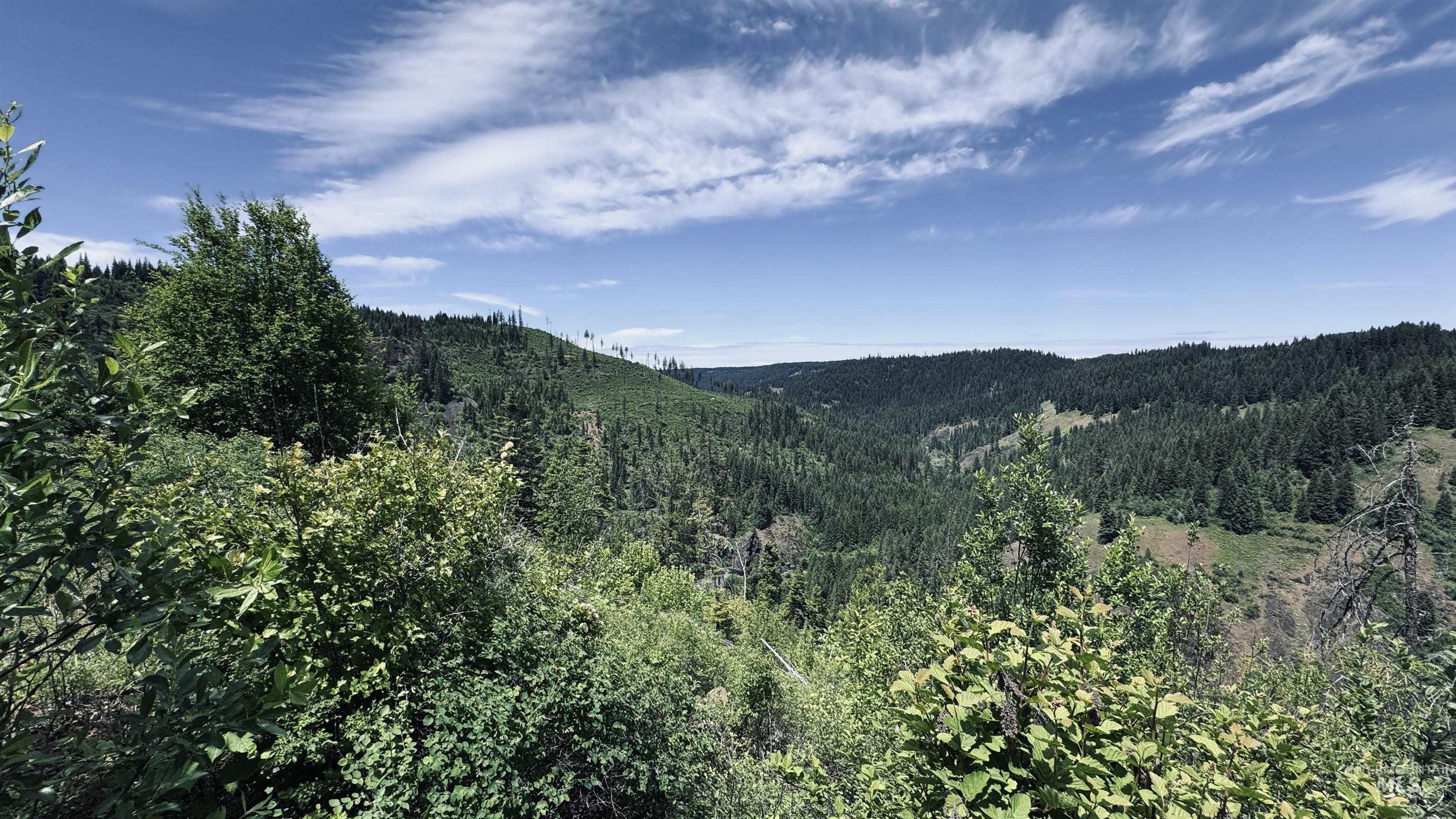 TBD Glenwood, Kamiah, Idaho 83536, Land For Sale, Price $299,999,MLS 98989435