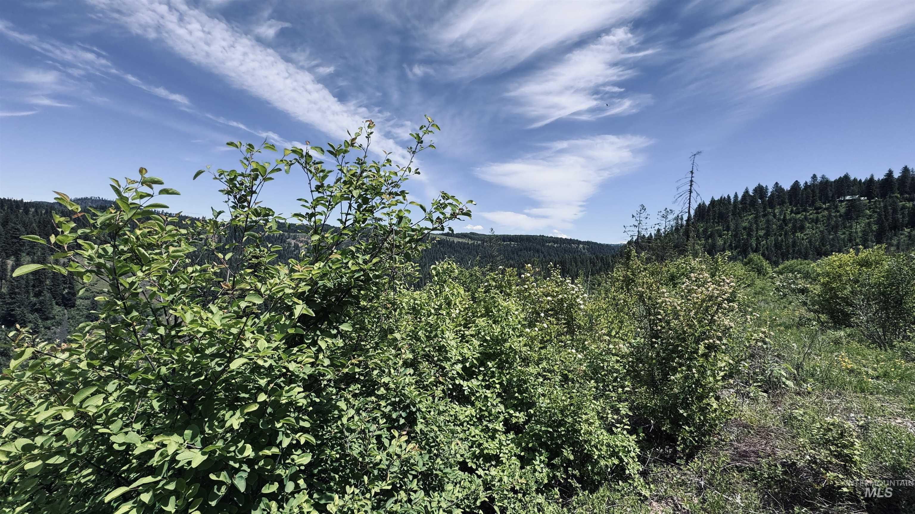 TBD Glenwood, Kamiah, Idaho 83536, Land For Sale, Price $299,999,MLS 98989435