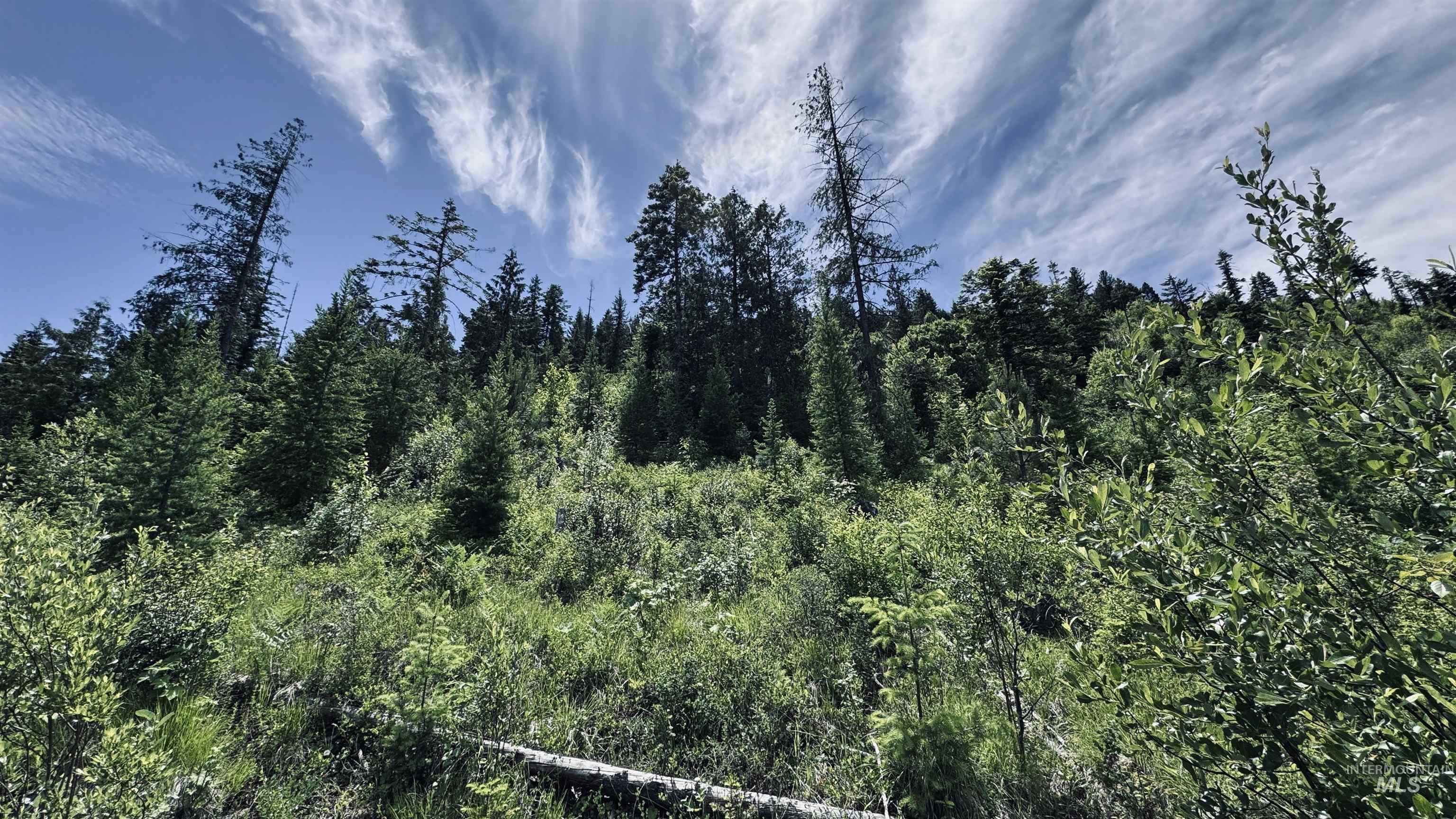TBD Glenwood, Kamiah, Idaho 83536, Land For Sale, Price $299,999,MLS 98989435