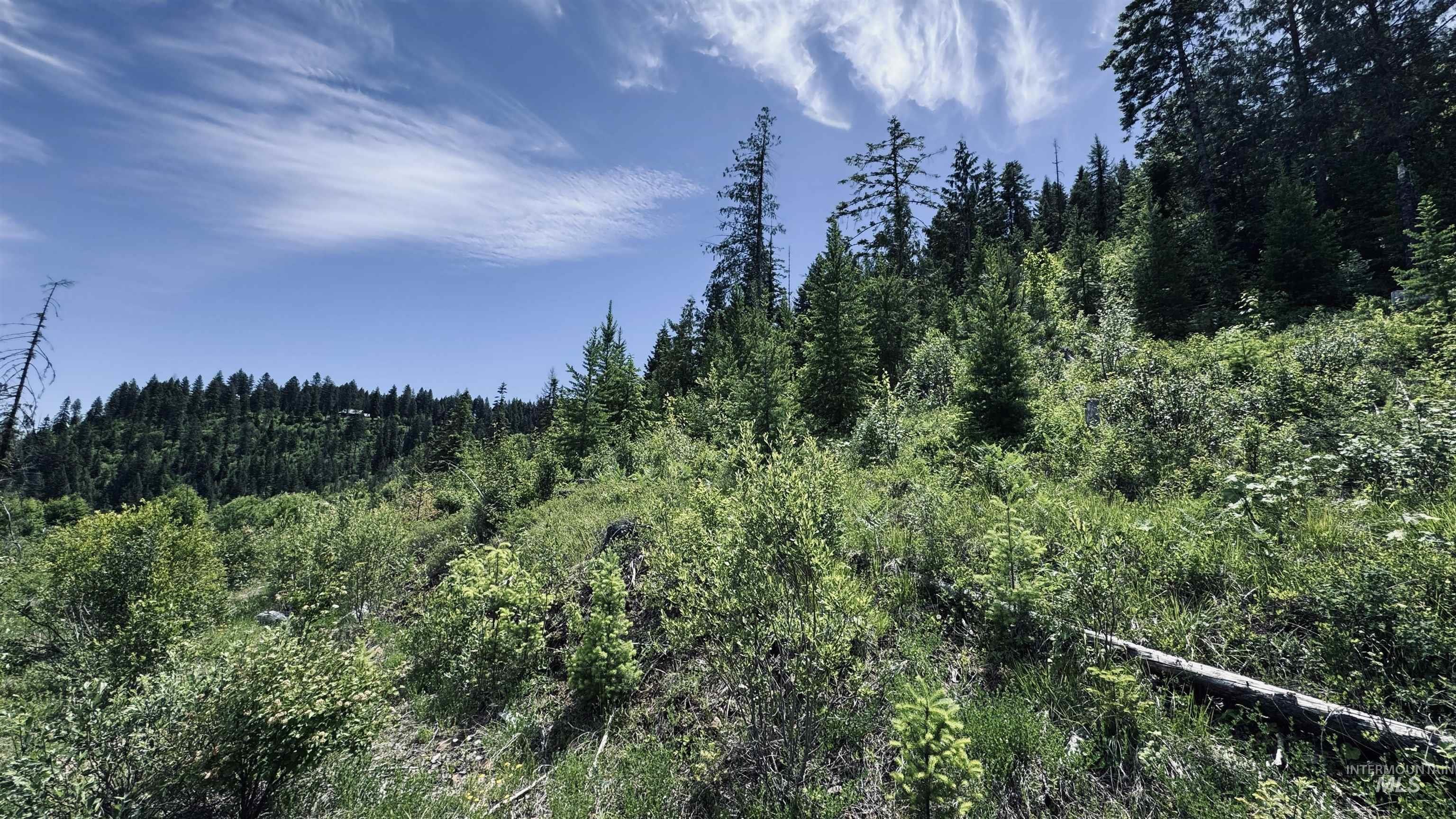 TBD Glenwood, Kamiah, Idaho 83536, Land For Sale, Price $299,999,MLS 98989435
