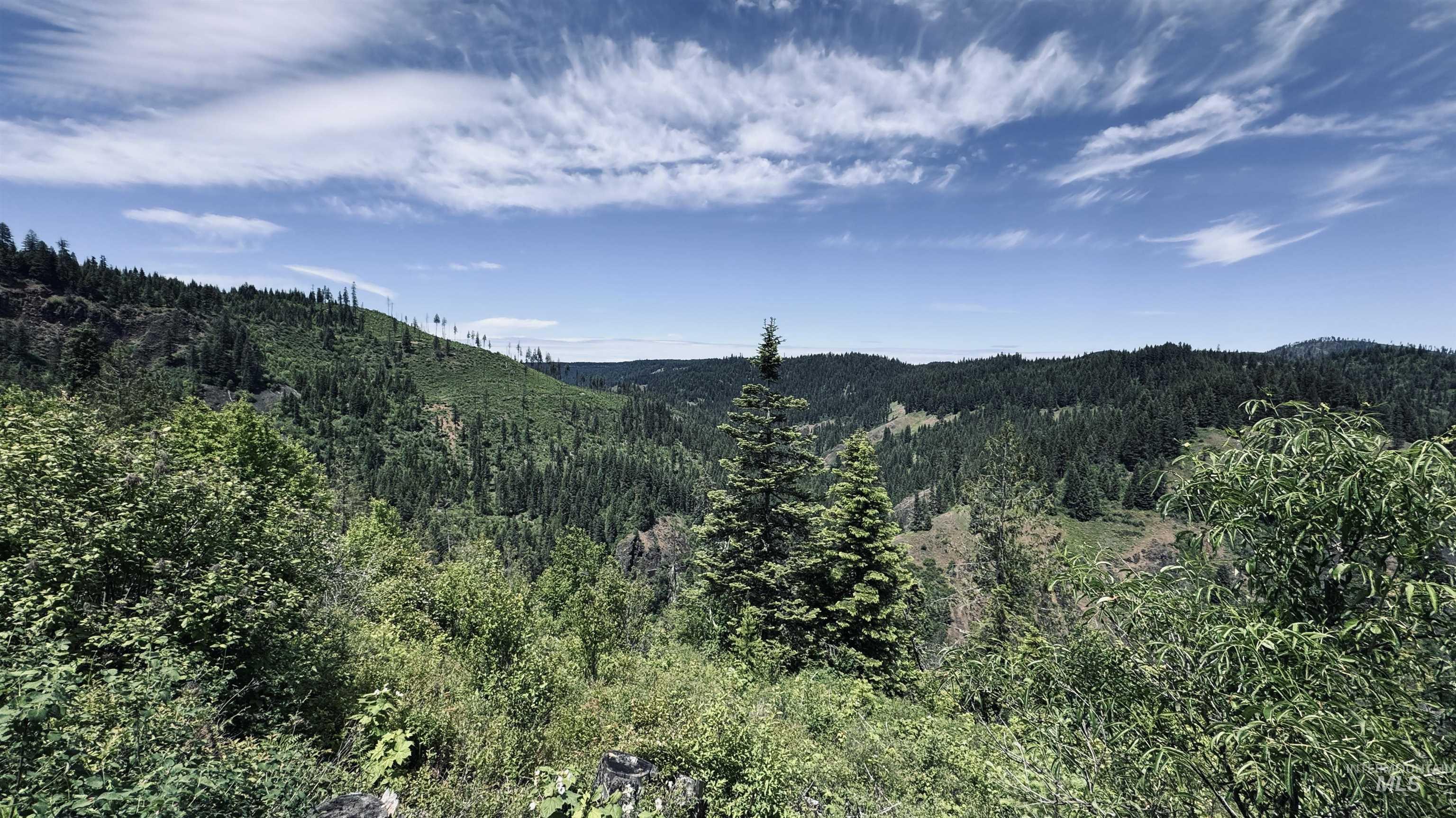 TBD Glenwood, Kamiah, Idaho 83536, Land For Sale, Price $299,999,MLS 98989435