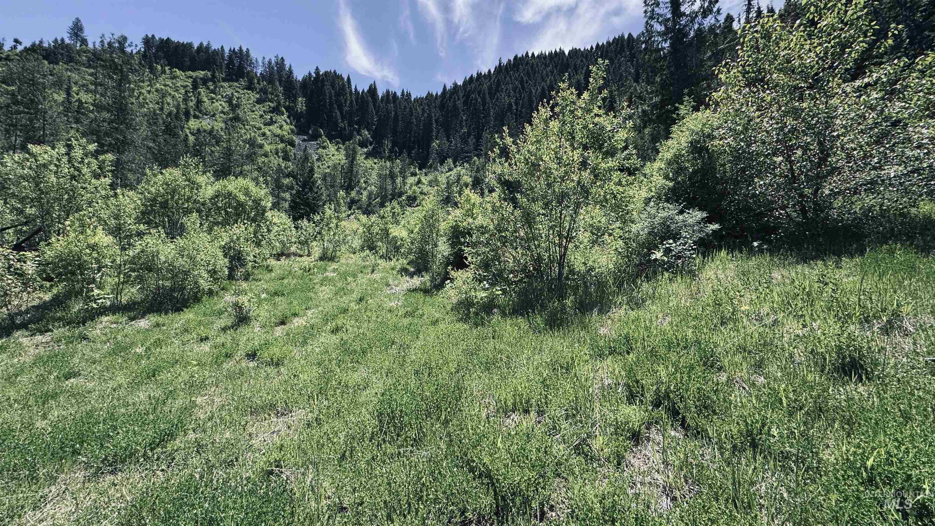TBD Glenwood, Kamiah, Idaho 83536, Land For Sale, Price $299,999,MLS 98989435