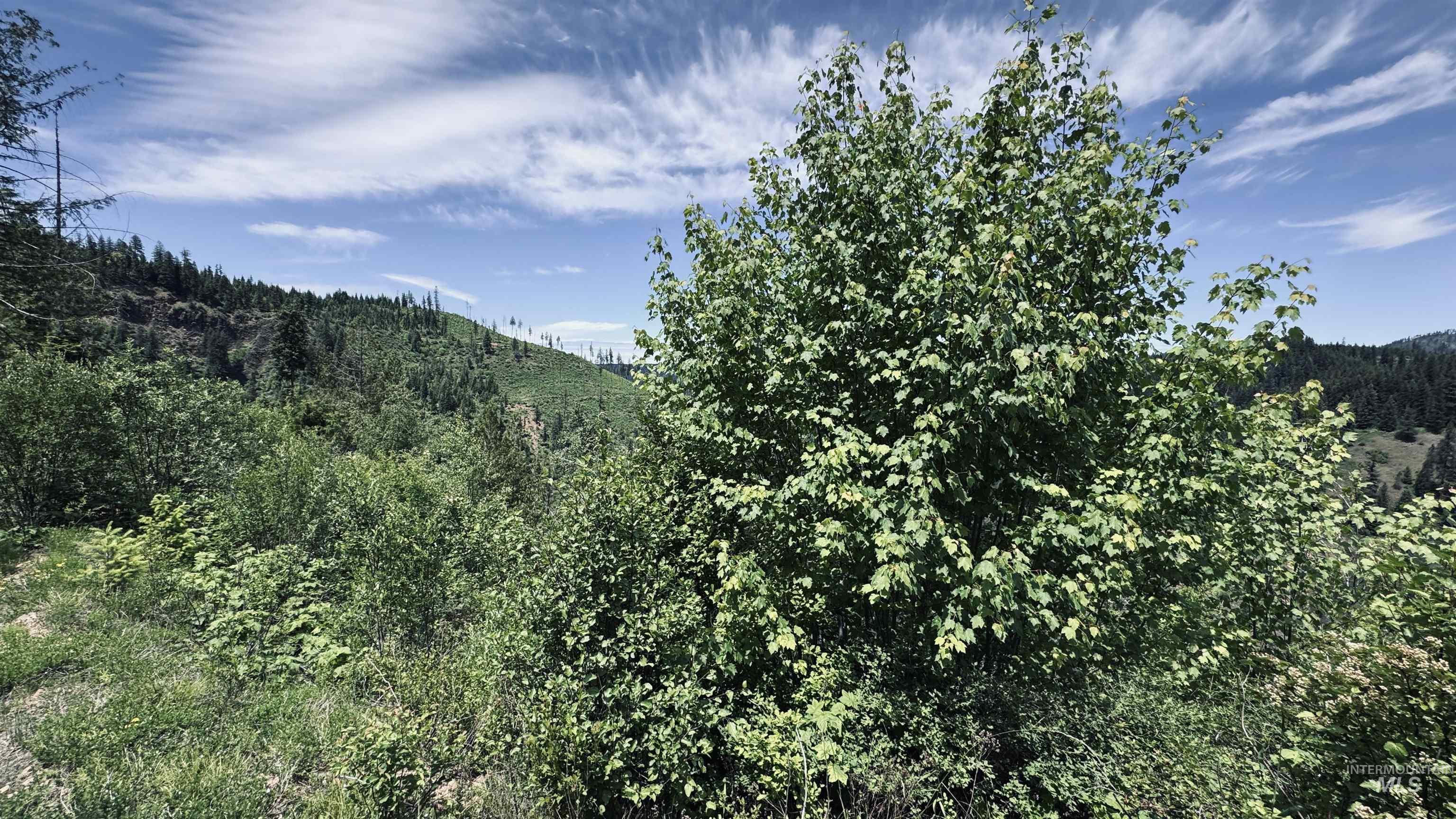 TBD Glenwood, Kamiah, Idaho 83536, Land For Sale, Price $299,999,MLS 98989435