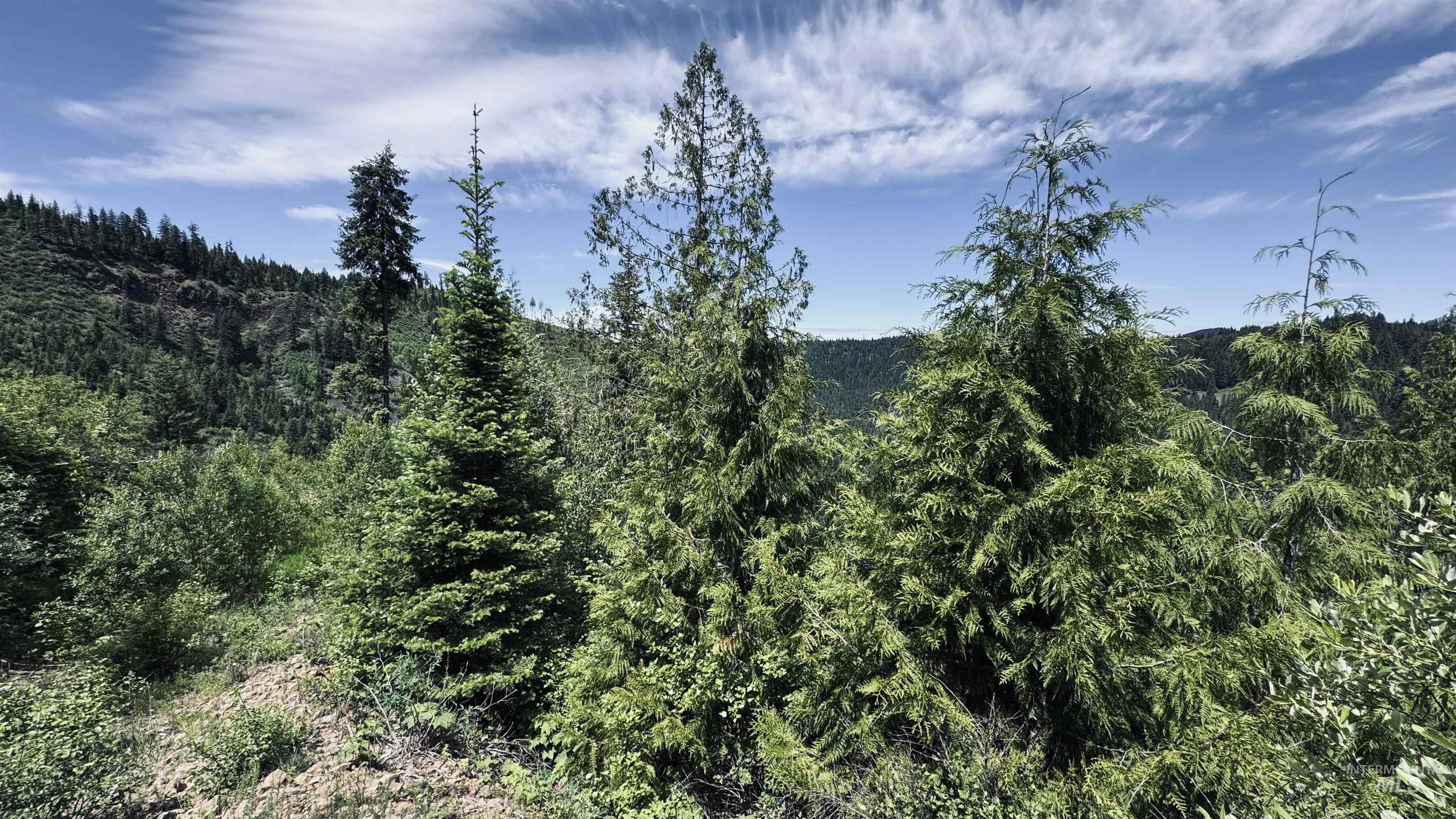 TBD Glenwood, Kamiah, Idaho 83536, Land For Sale, Price $299,999,MLS 98989435