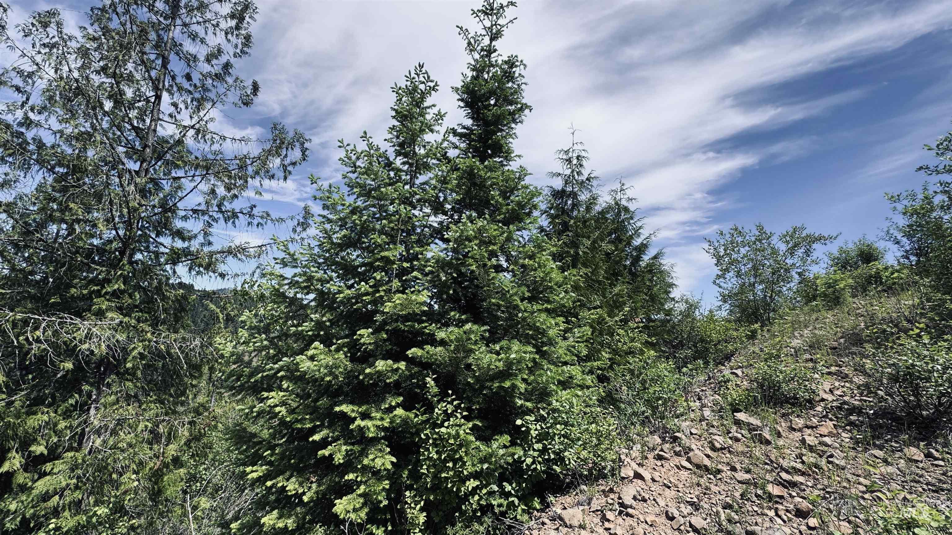 TBD Glenwood, Kamiah, Idaho 83536, Land For Sale, Price $299,999,MLS 98989435