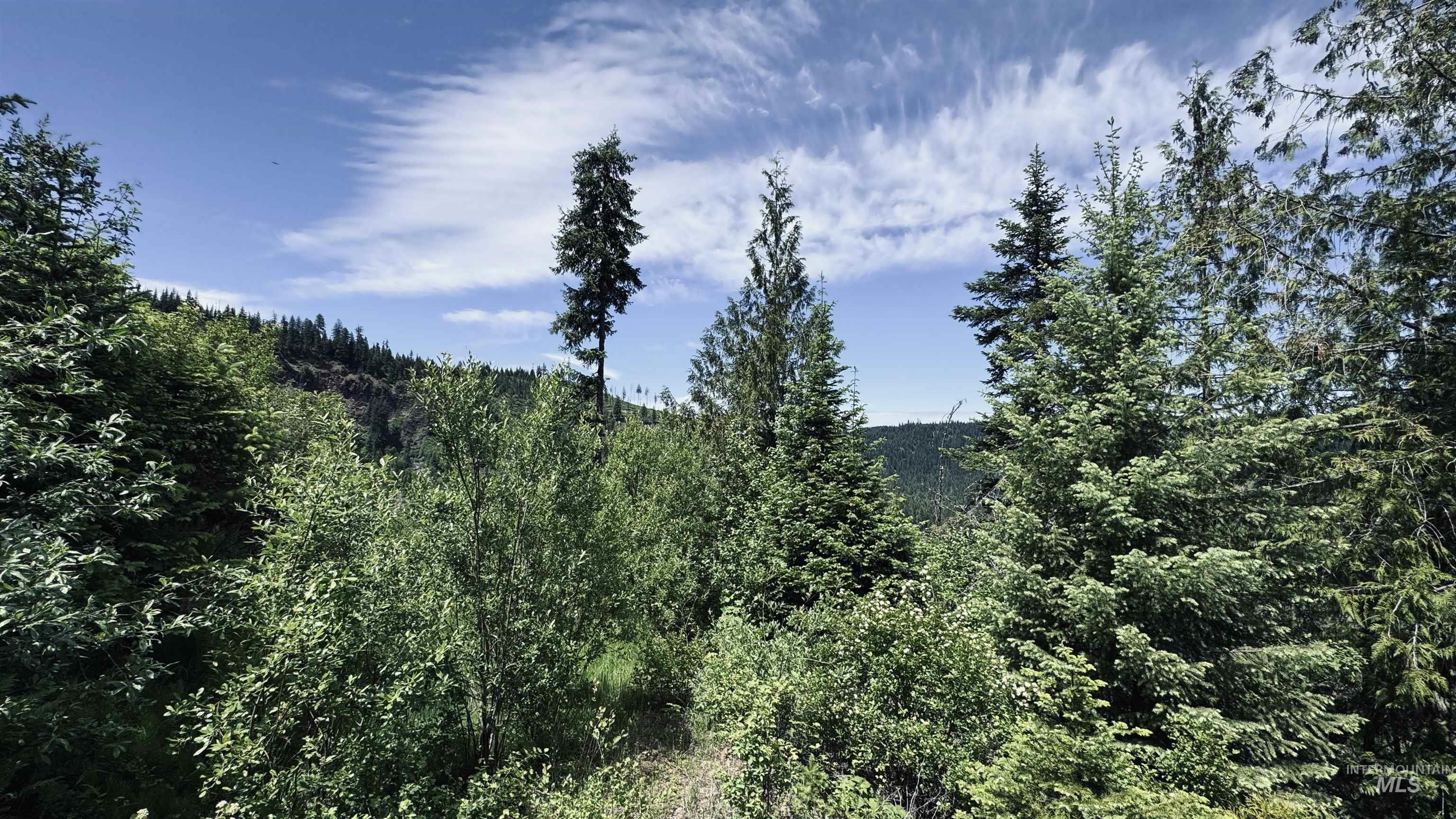 TBD Glenwood, Kamiah, Idaho 83536, Land For Sale, Price $299,999,MLS 98989435